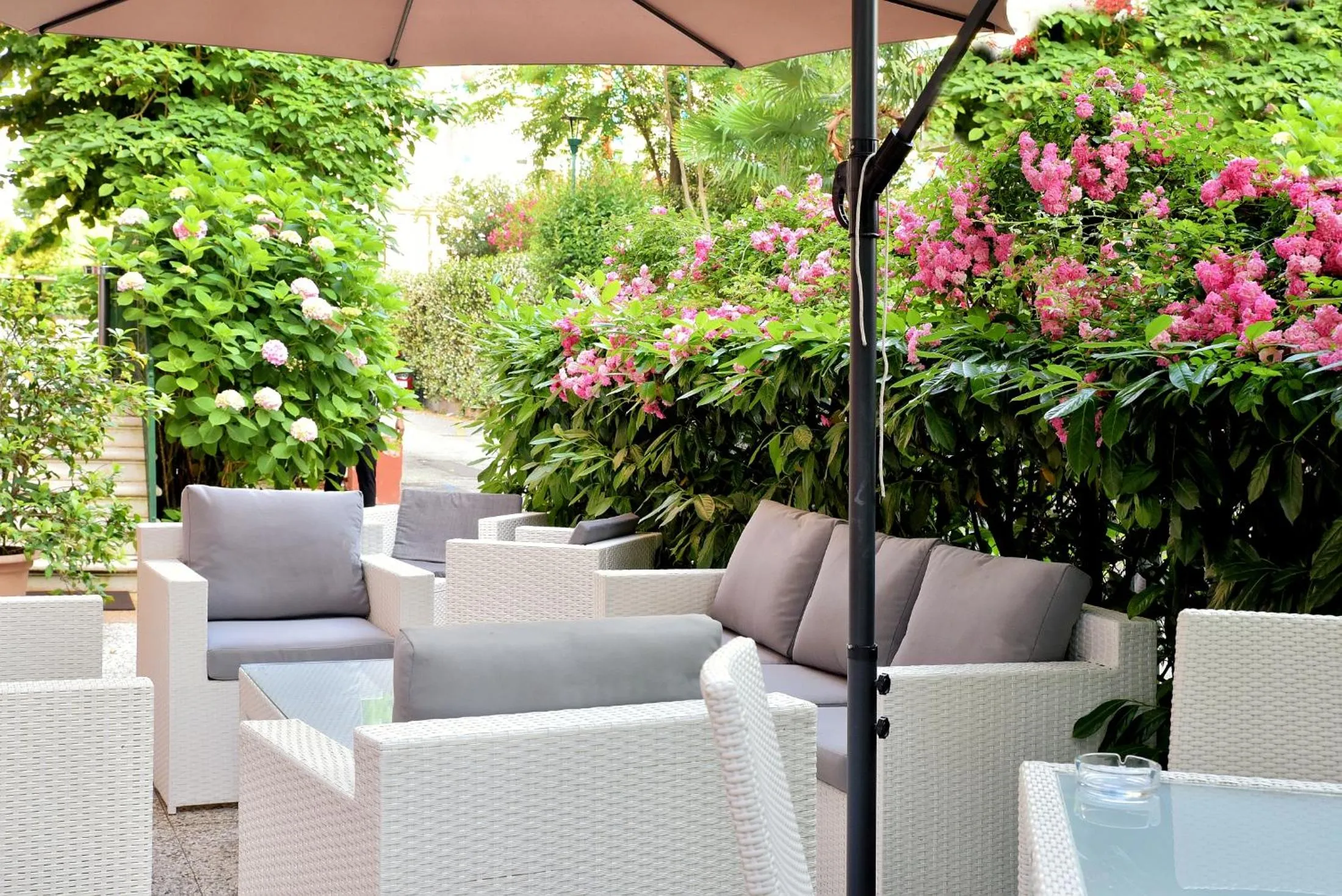 Area and facilities in Hotel Villa Pannonia