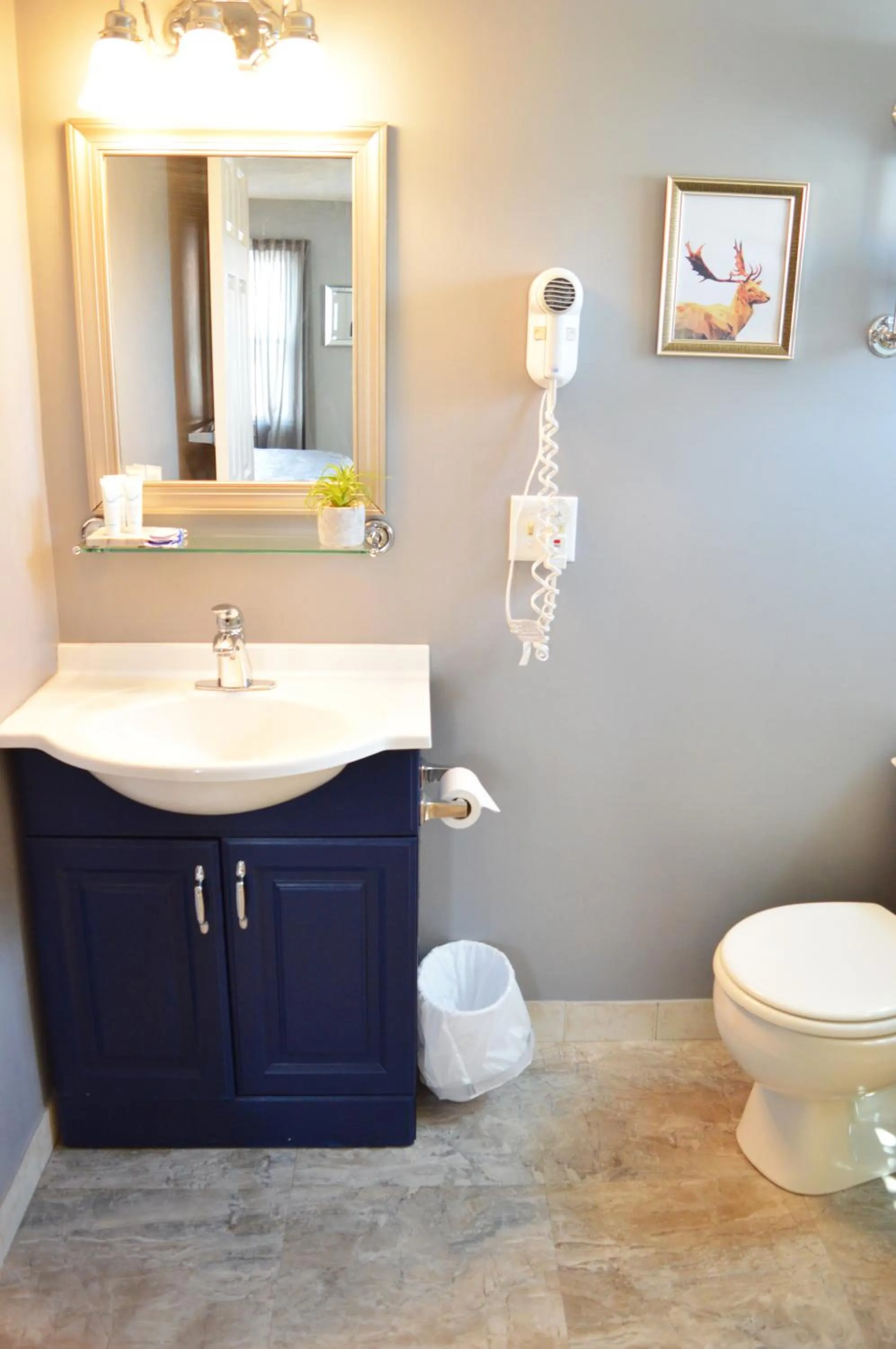 Shower in Mountain View Suites