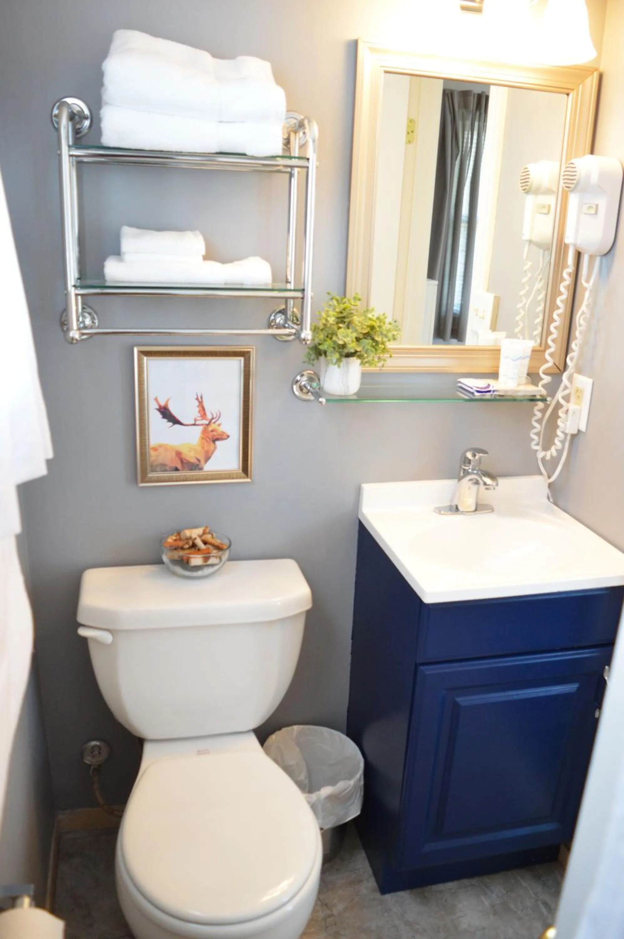 Shower in Mountain View Suites