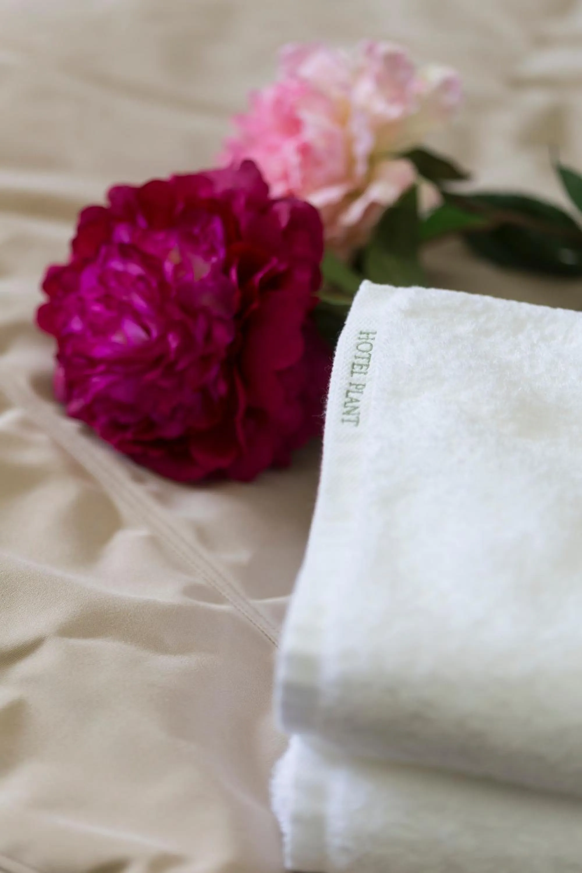 Decorative detail in Hotel Plant Garden Resort (Adult Only)