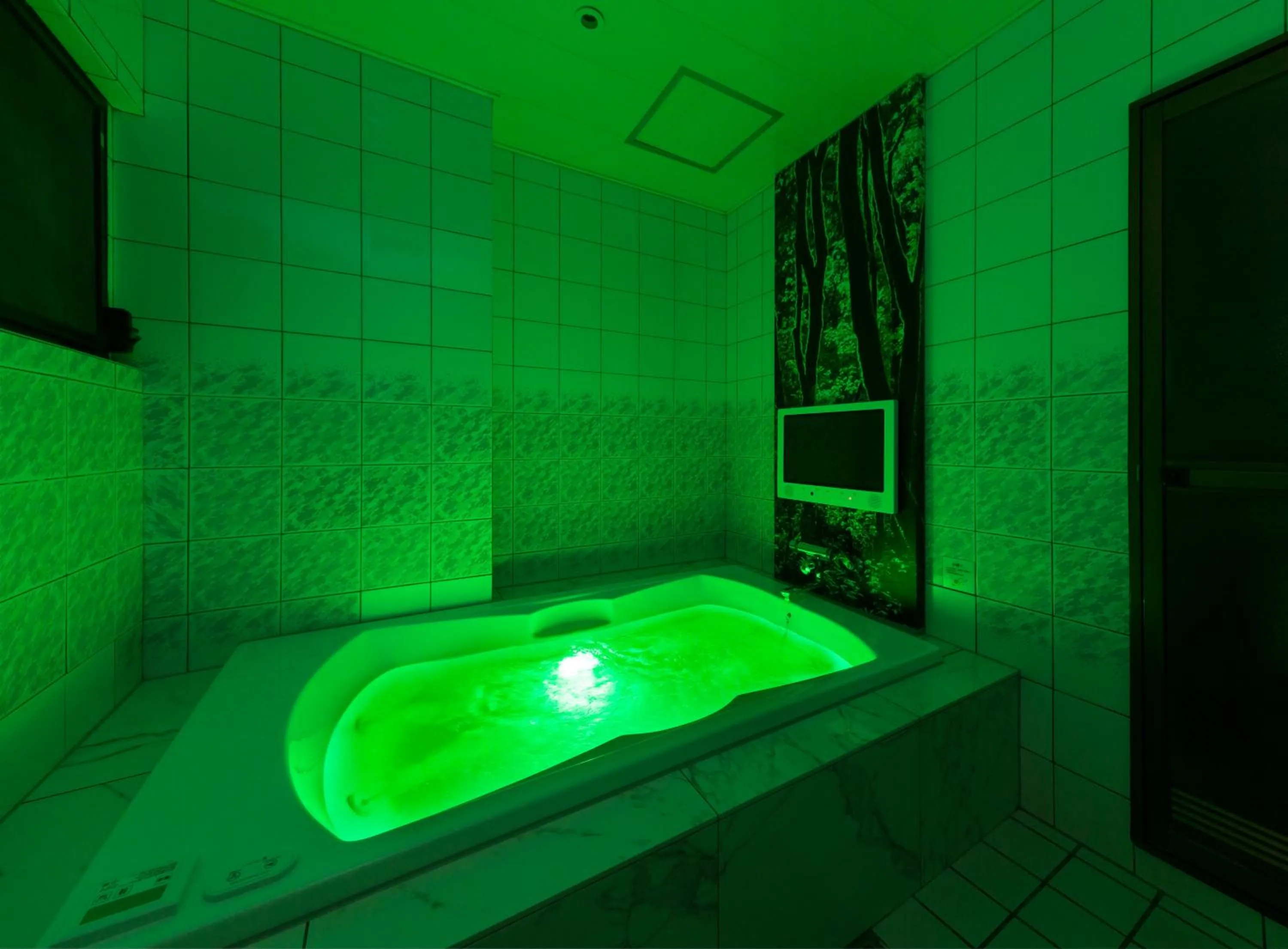 Photo of the whole room in Hotel Plant Garden Resort (Adult Only)