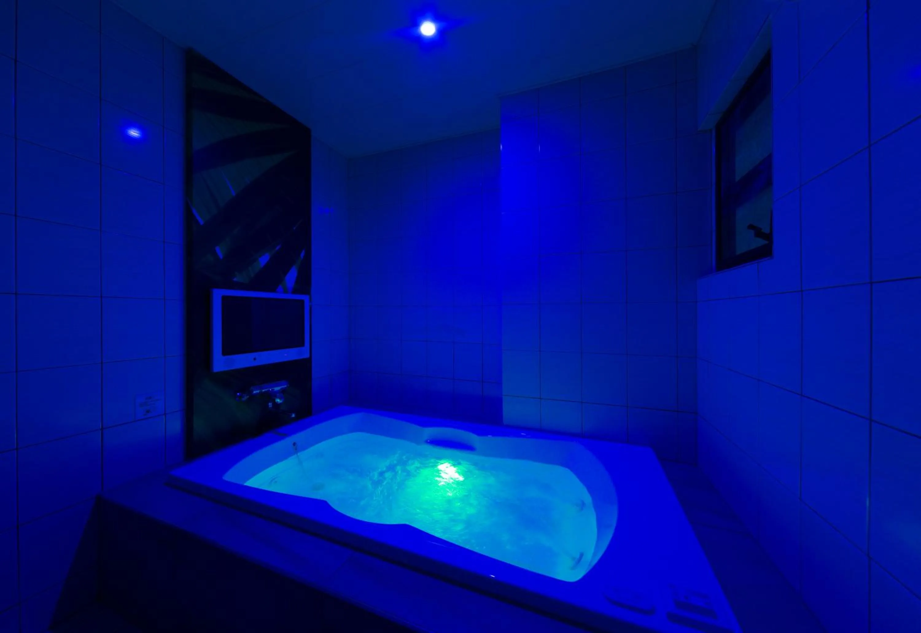 Photo of the whole room in Hotel Plant Garden Resort (Adult Only)