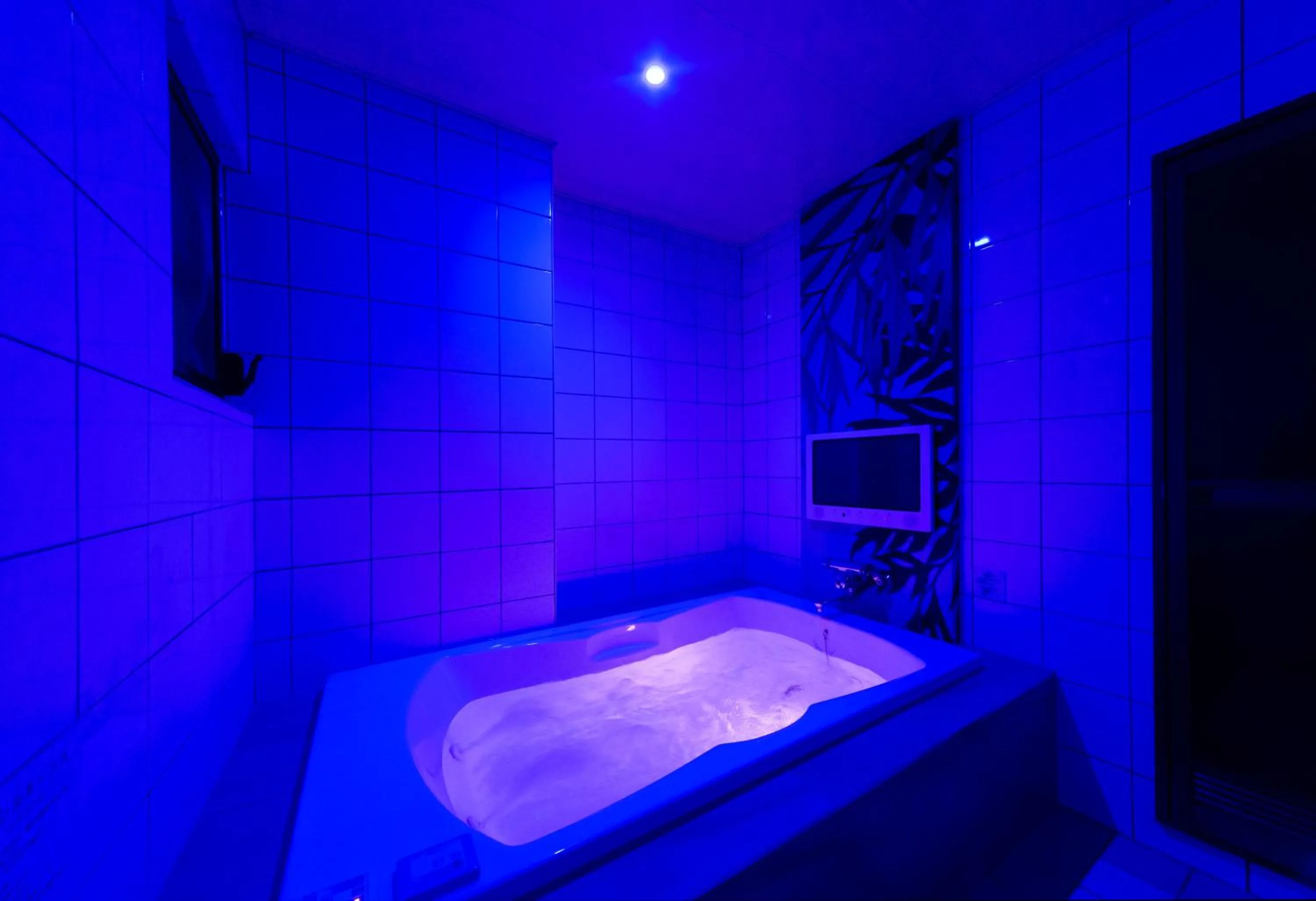 Photo of the whole room in Hotel Plant Garden Resort (Adult Only)