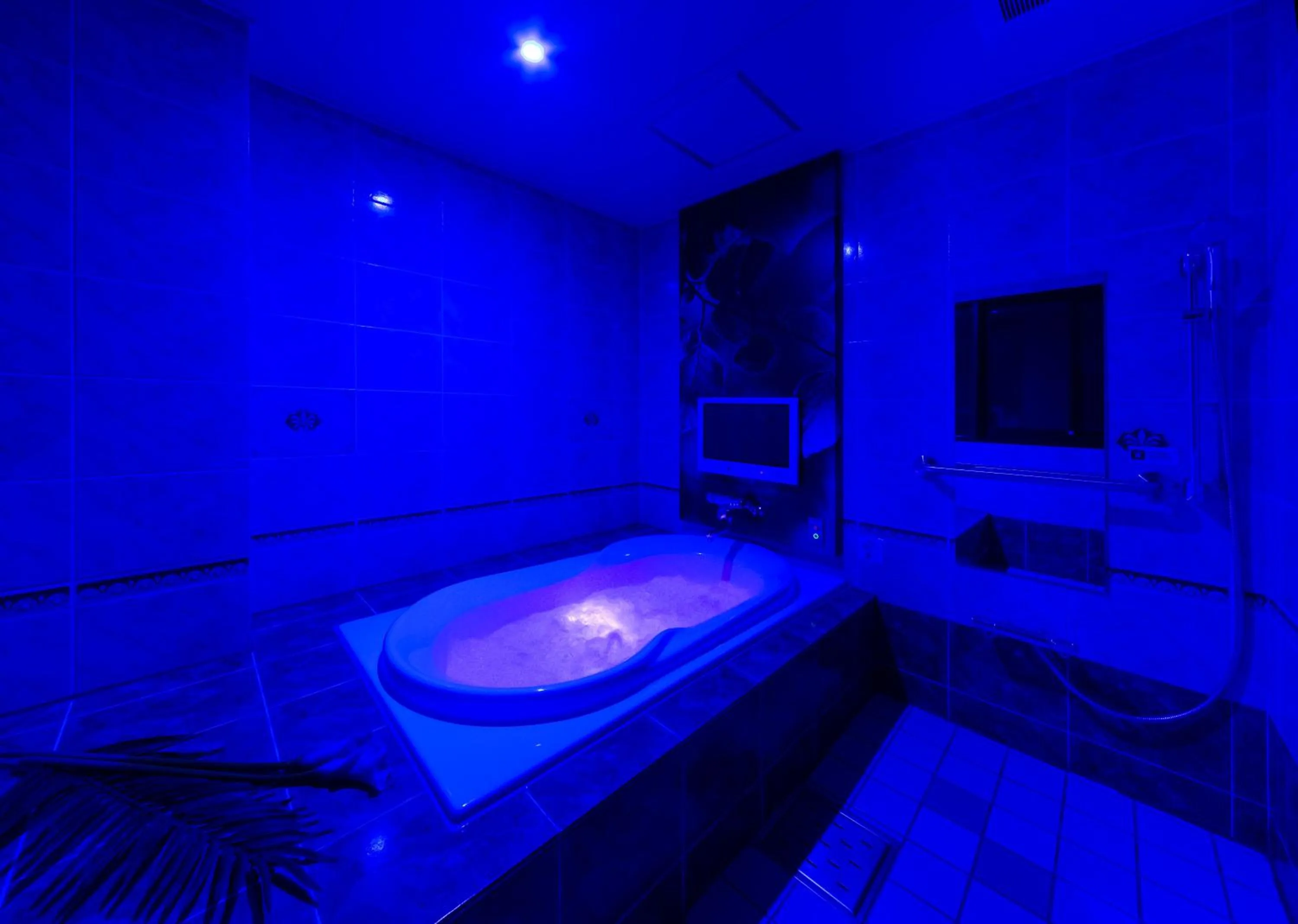 Photo of the whole room in Hotel Plant Garden Resort (Adult Only)