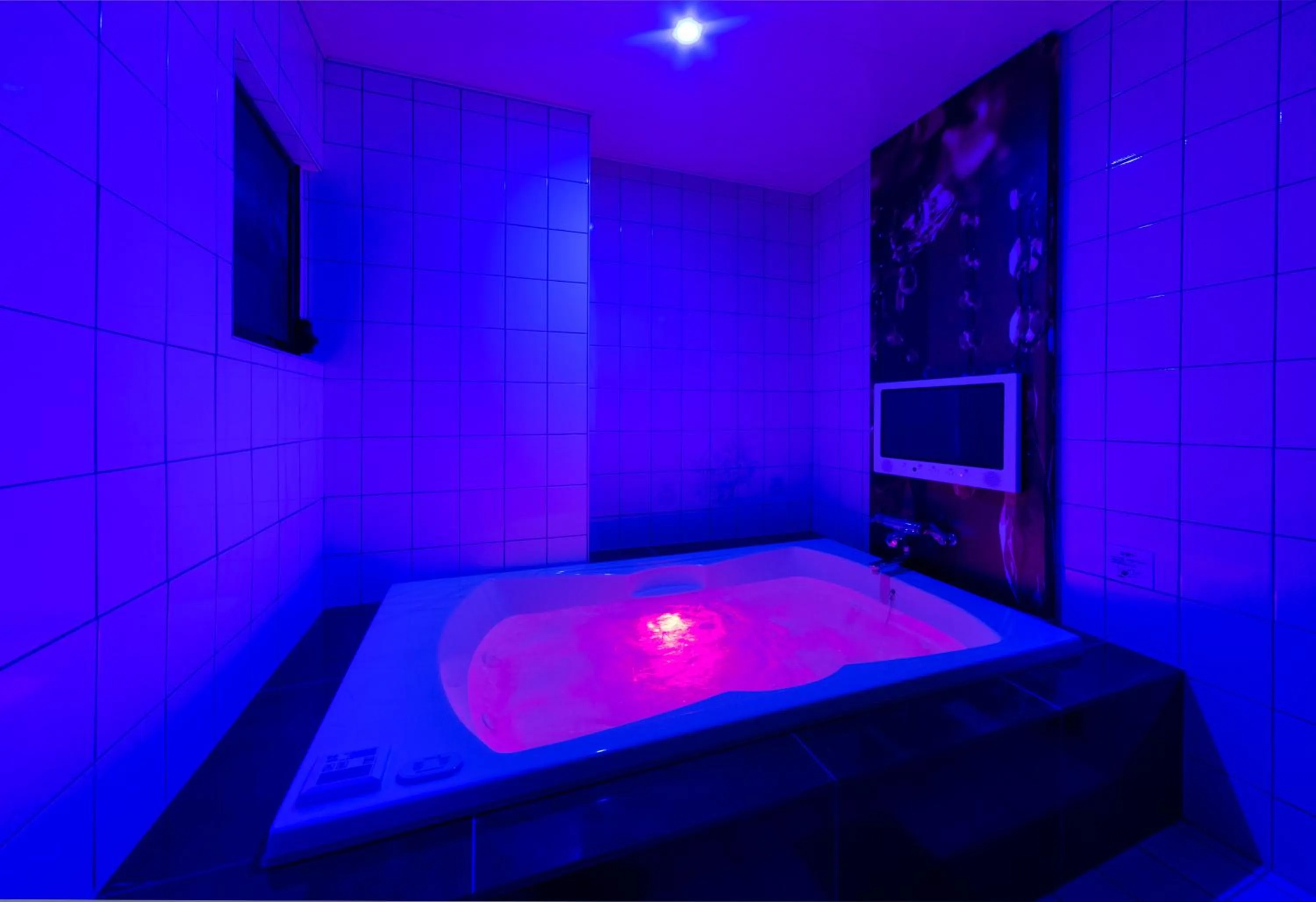 Photo of the whole room in Hotel Plant Garden Resort (Adult Only)