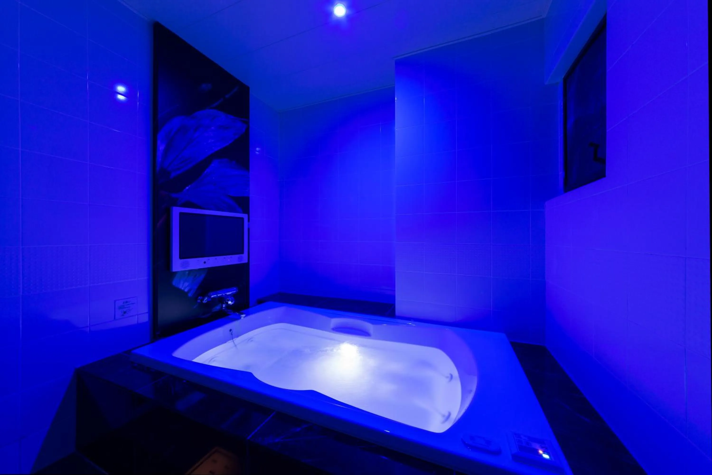 Photo of the whole room in Hotel Plant Garden Resort (Adult Only)