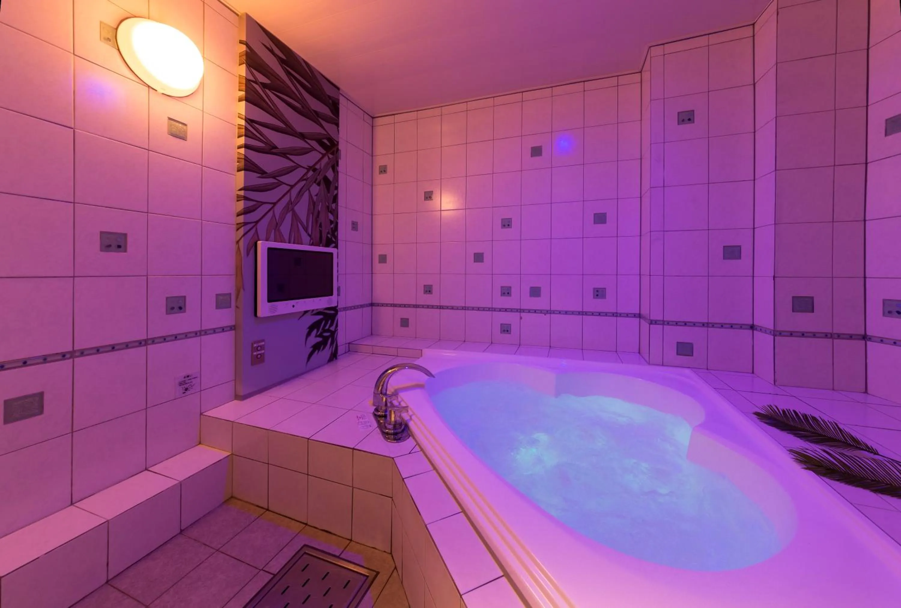 Photo of the whole room in Hotel Plant Garden Resort (Adult Only)