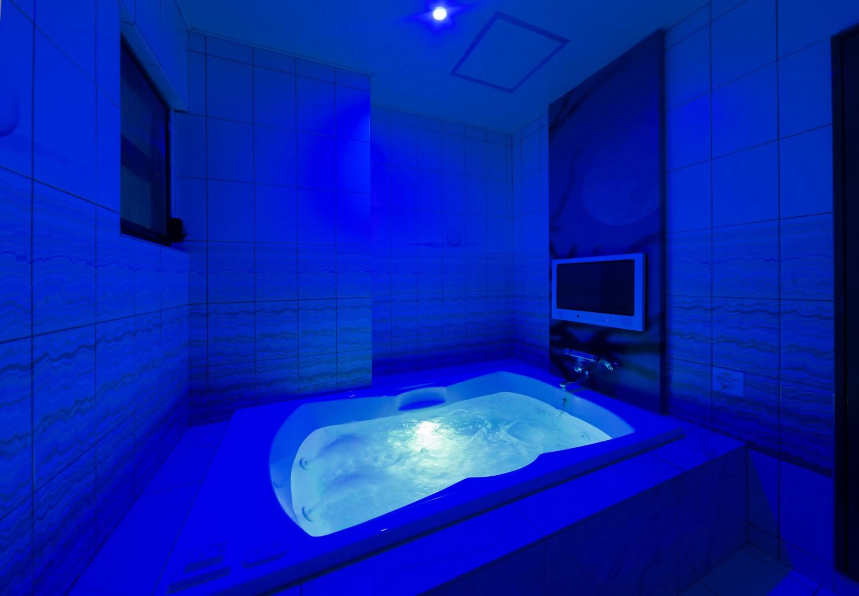 Photo of the whole room in Hotel Plant Garden Resort (Adult Only)