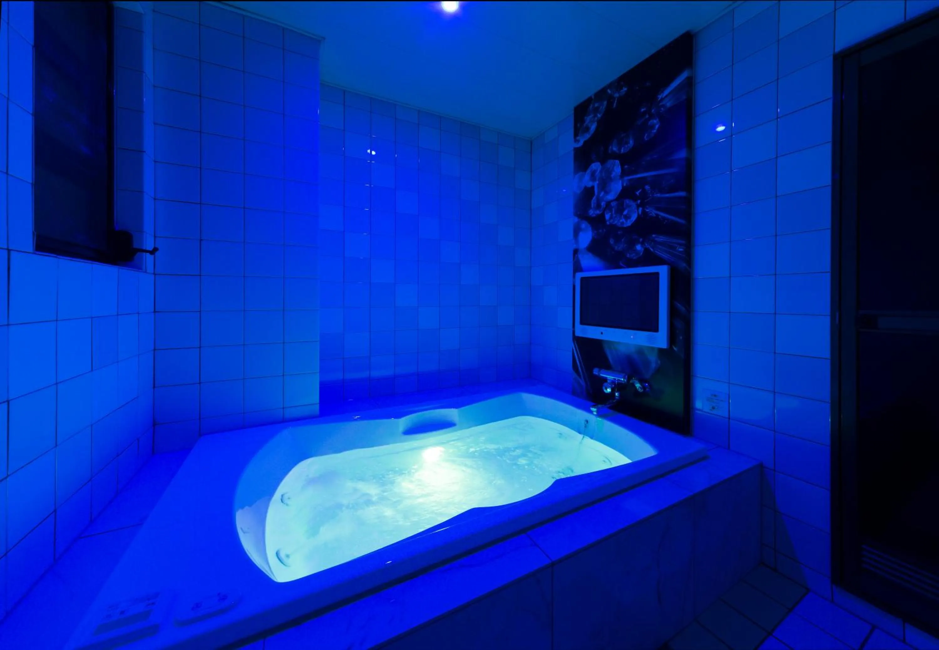 Photo of the whole room in Hotel Plant Garden Resort (Adult Only)