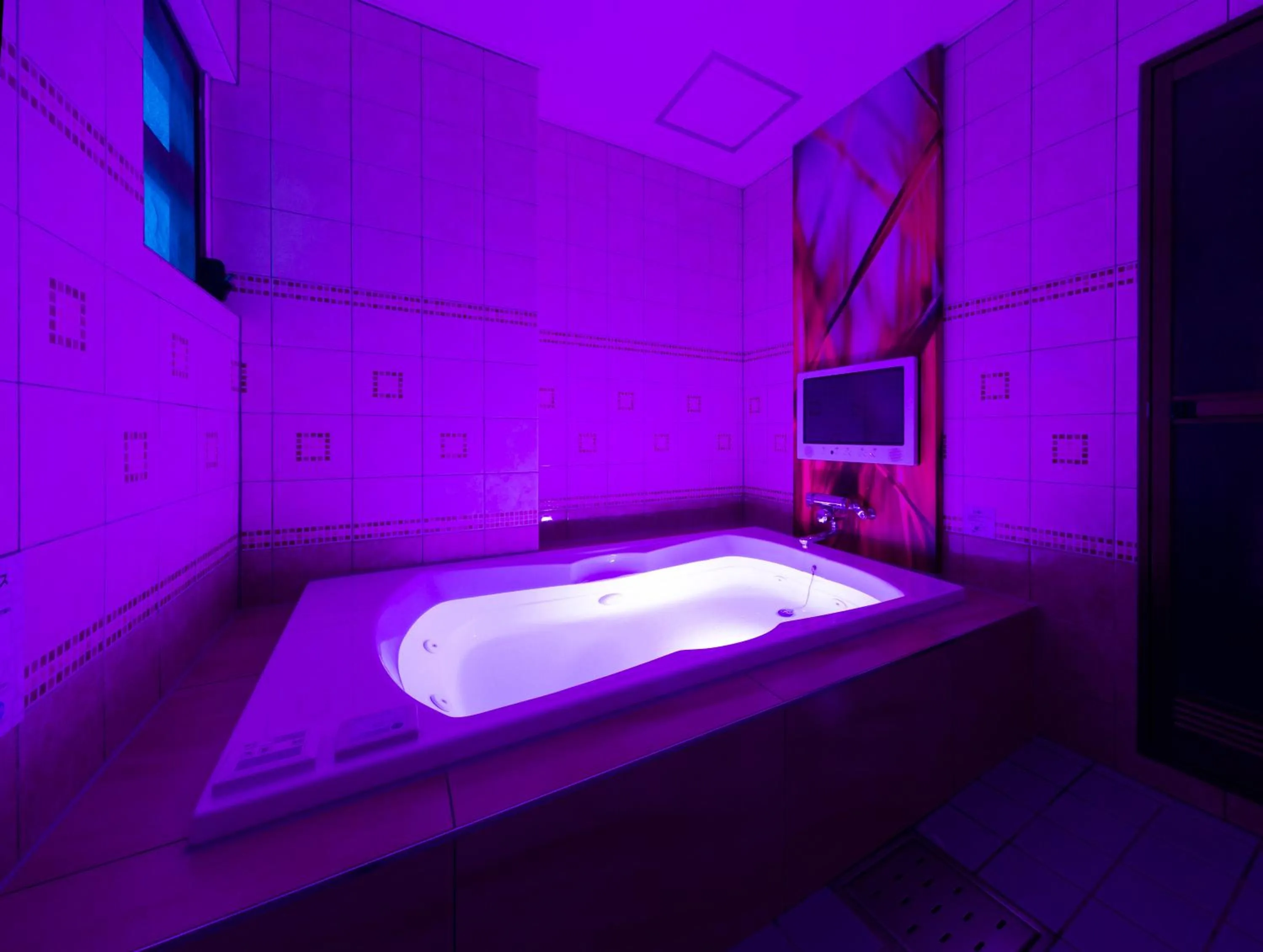 Photo of the whole room in Hotel Plant Garden Resort (Adult Only)