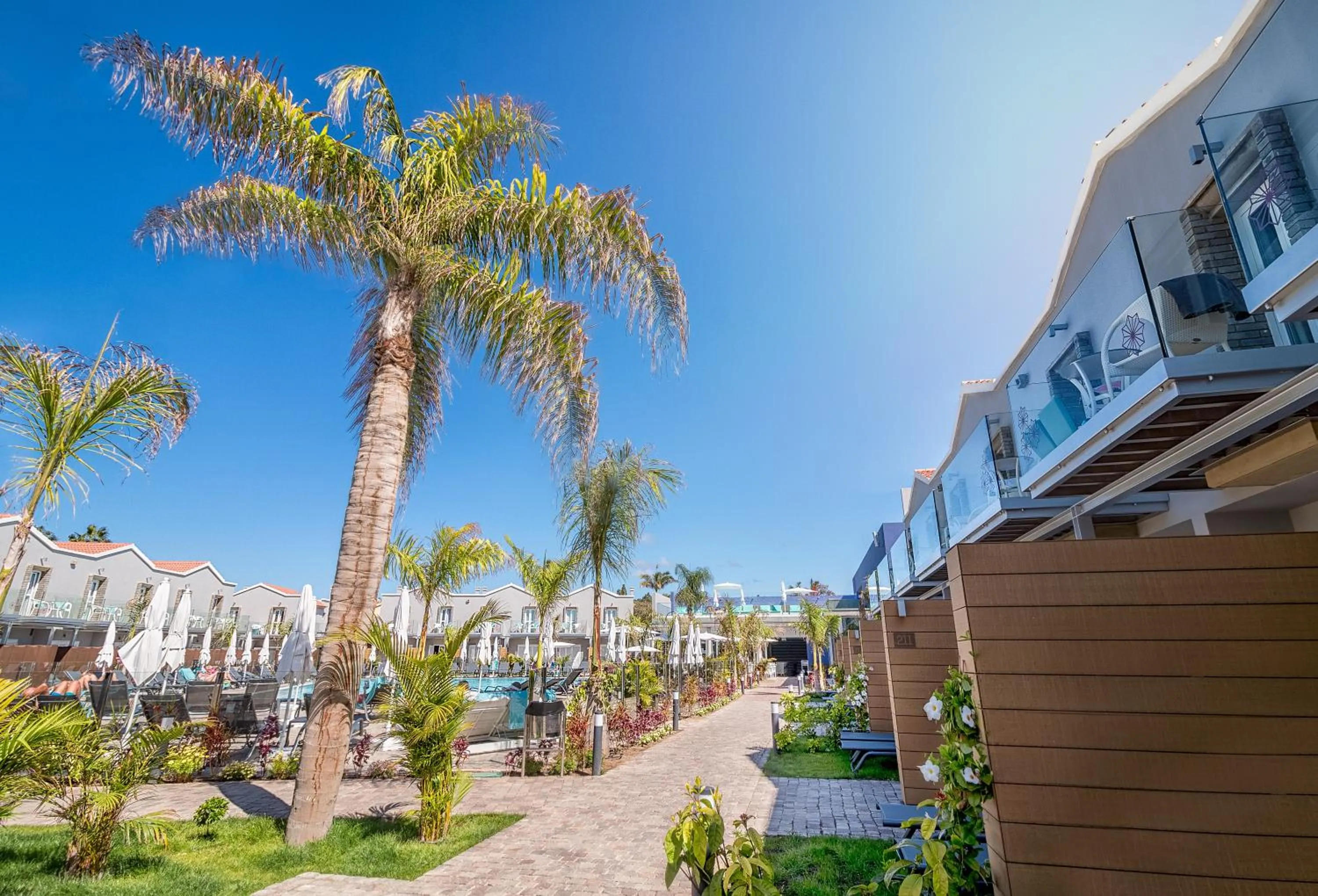 Garden in Hotel LIVVO Los Calderones - Adults recommended