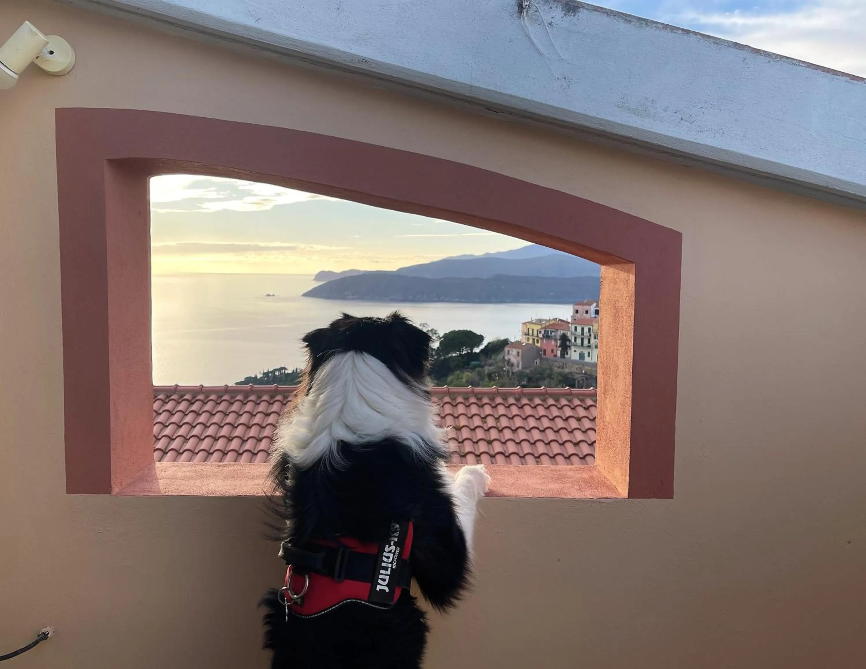 Sea view in Villa Soprana by Agenzia SolturElba