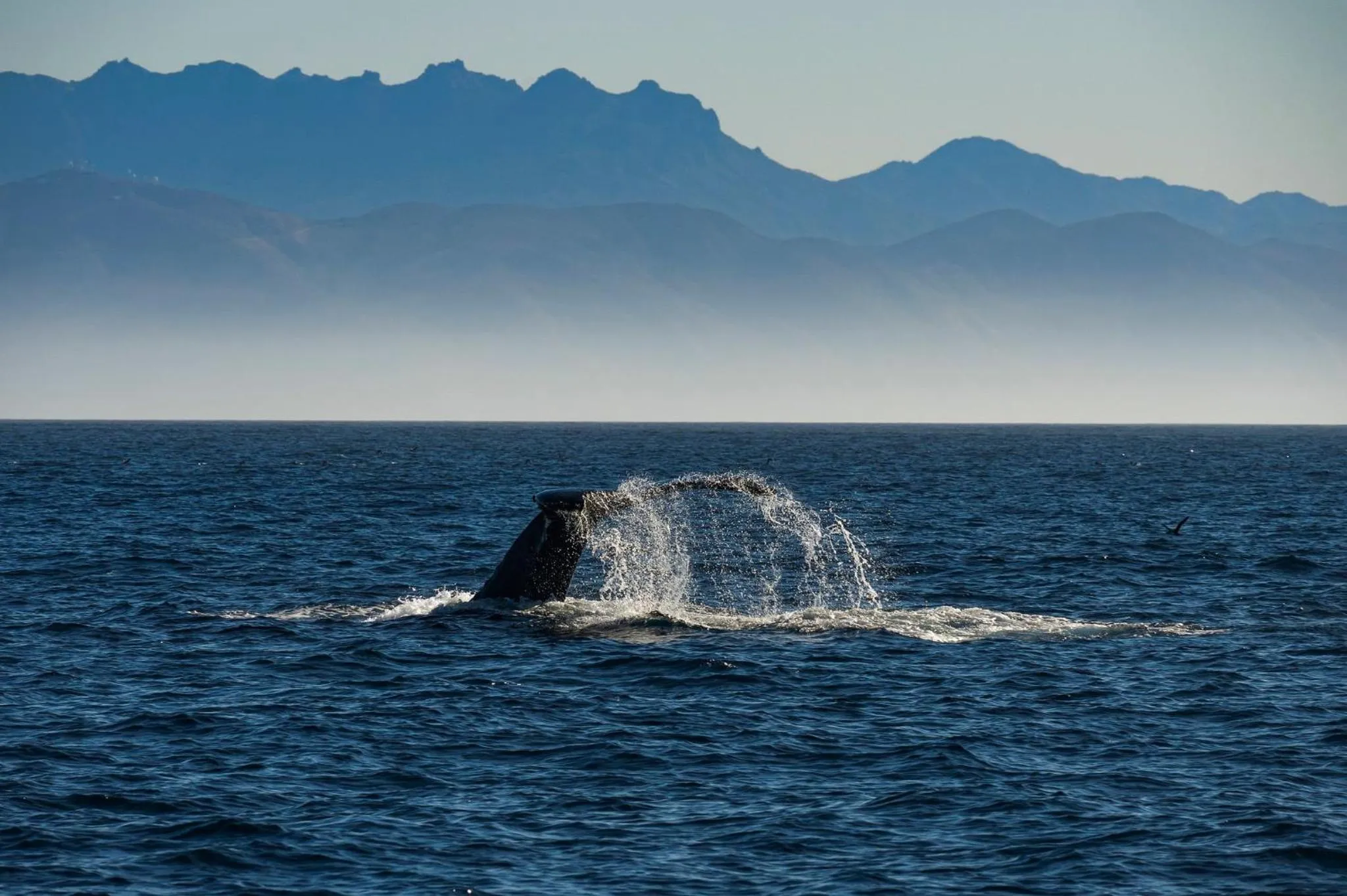 Nearby landmark in Staybridge Suites Oxnard - River Ridge by IHG