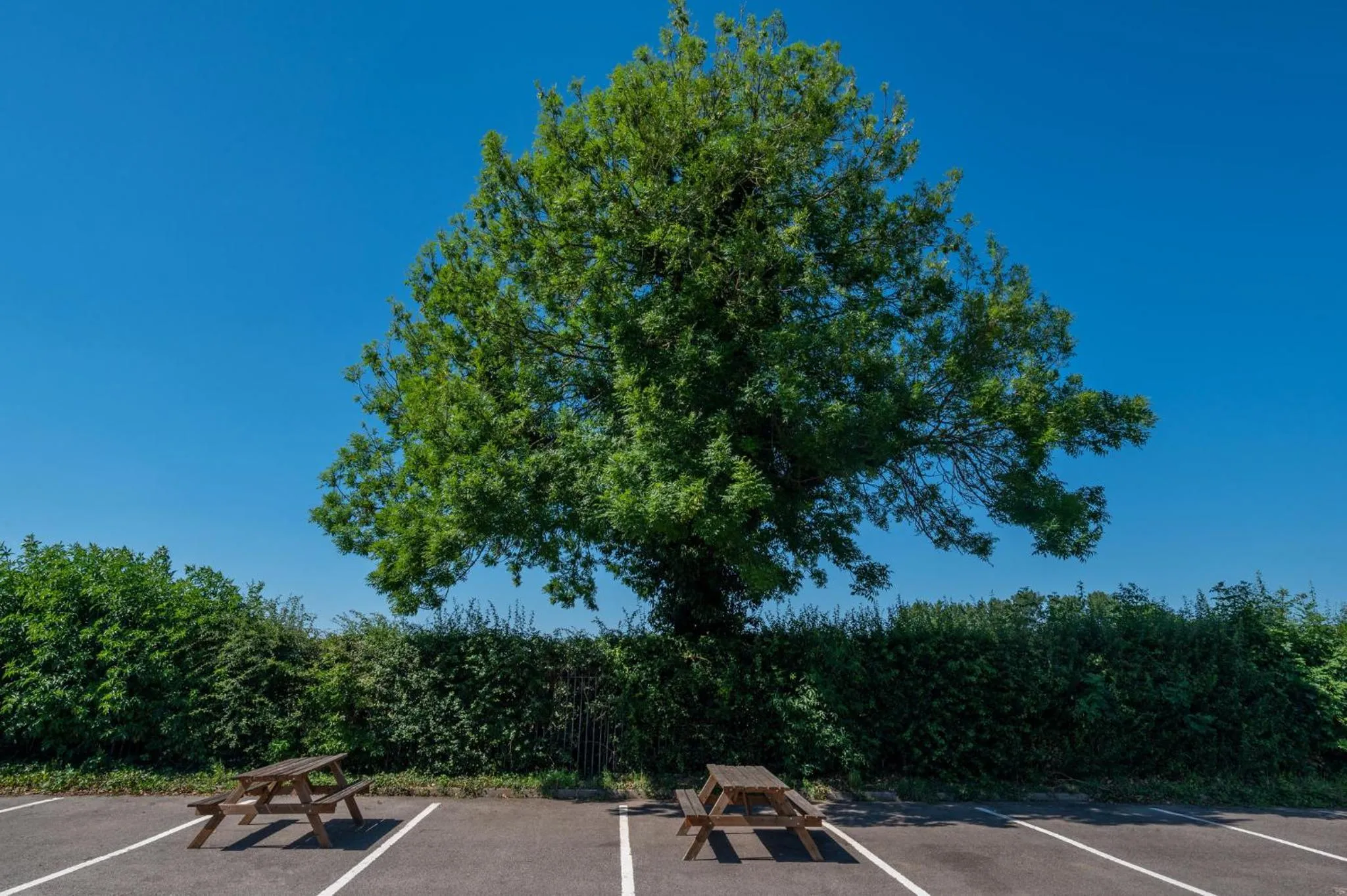 Area and facilities in Holiday Inn - Leicester - Wigston by IHG