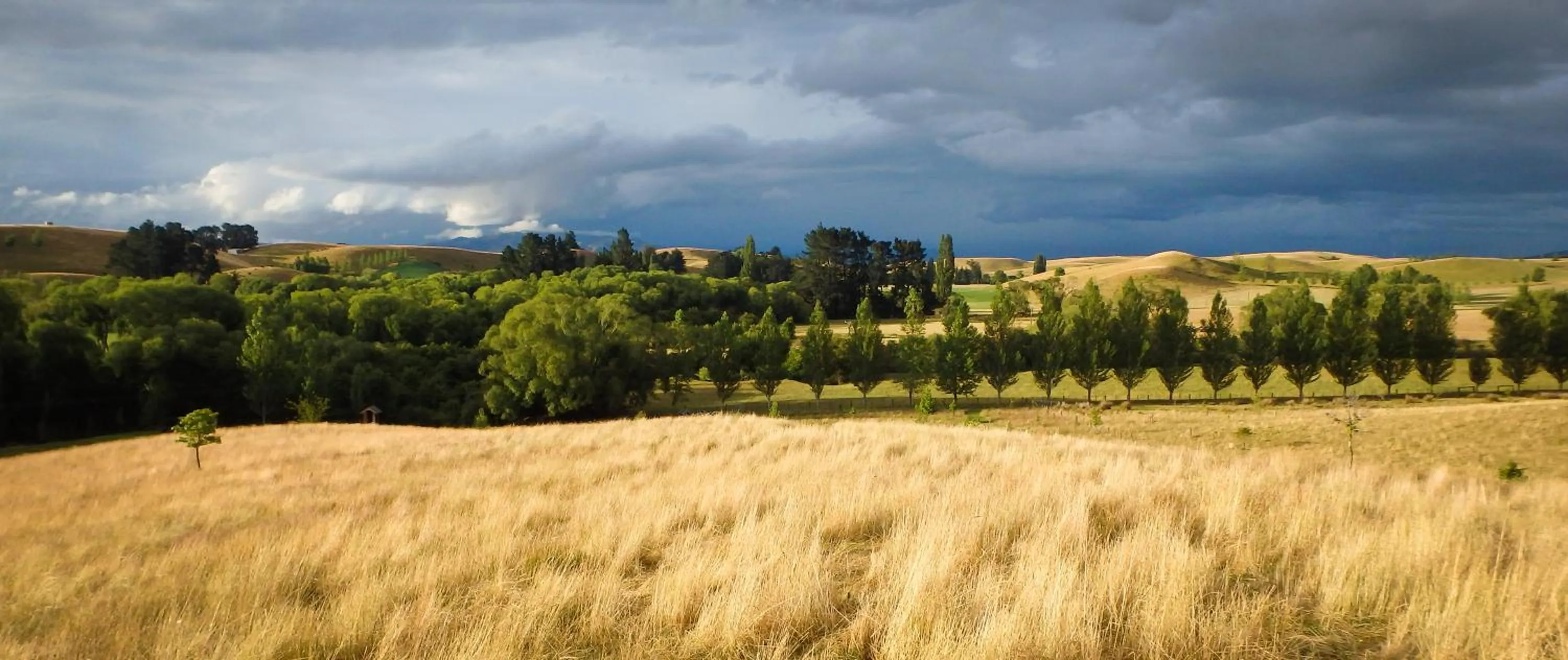 Natural landscape in Tree House Lodge Bed & Breakfast