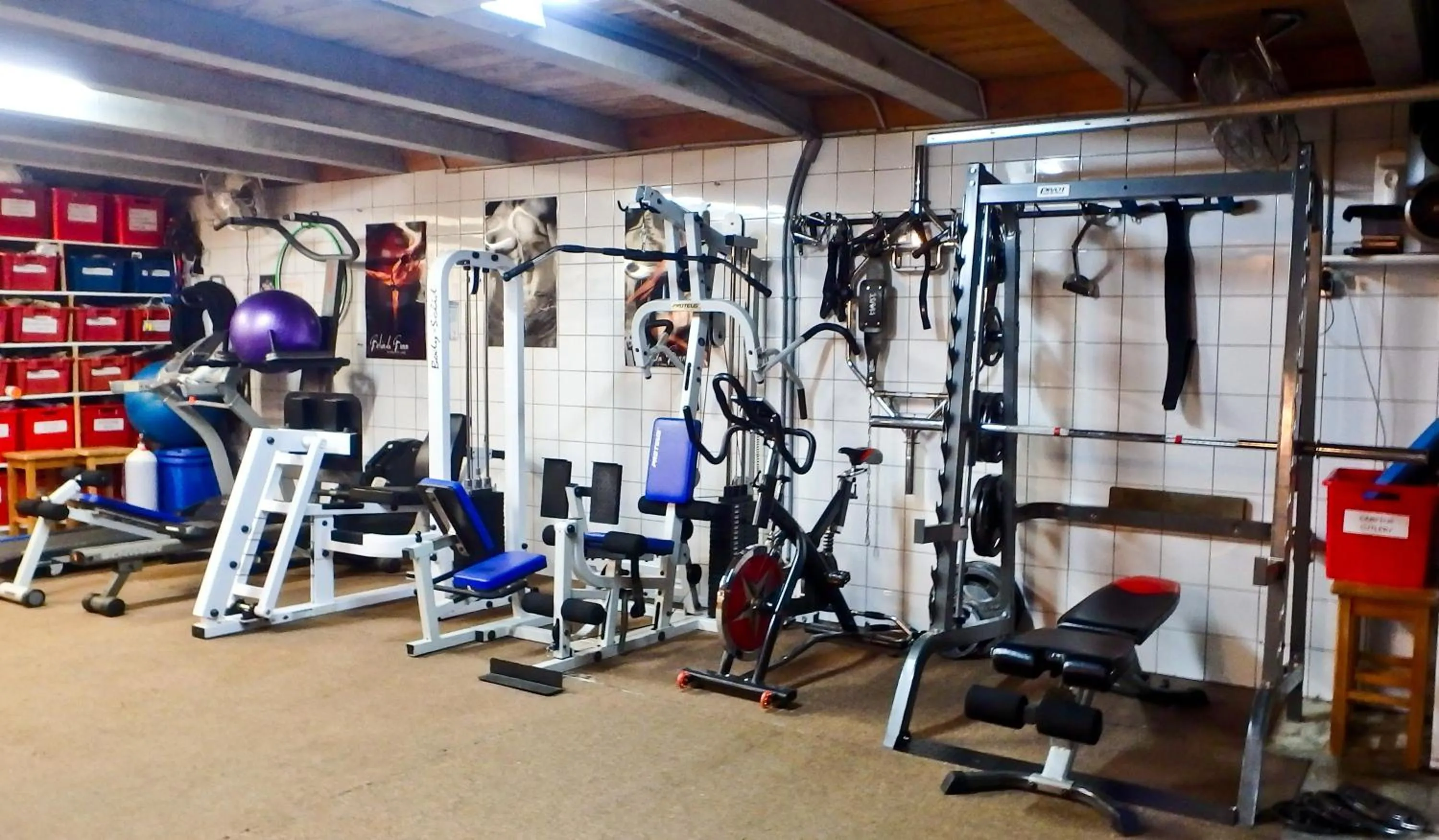 Fitness centre/facilities in Tree House Lodge Bed & Breakfast