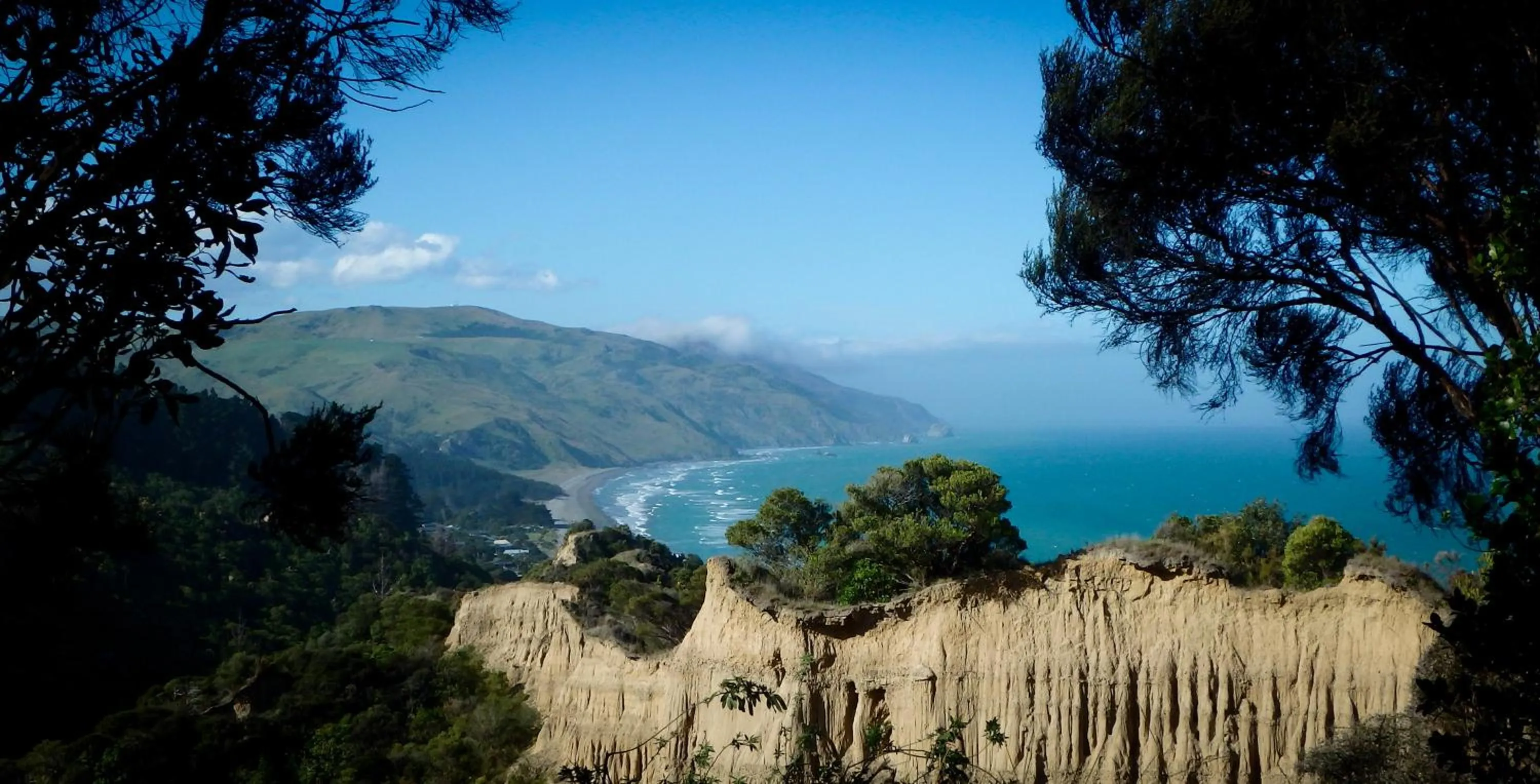 Natural landscape in Tree House Lodge Bed & Breakfast