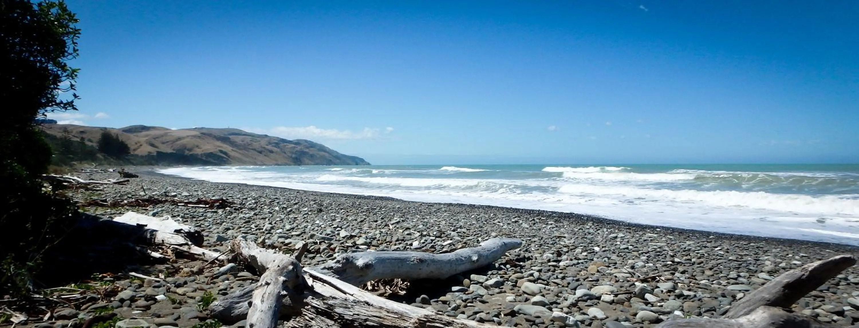 Beach in Tree House Lodge Bed & Breakfast