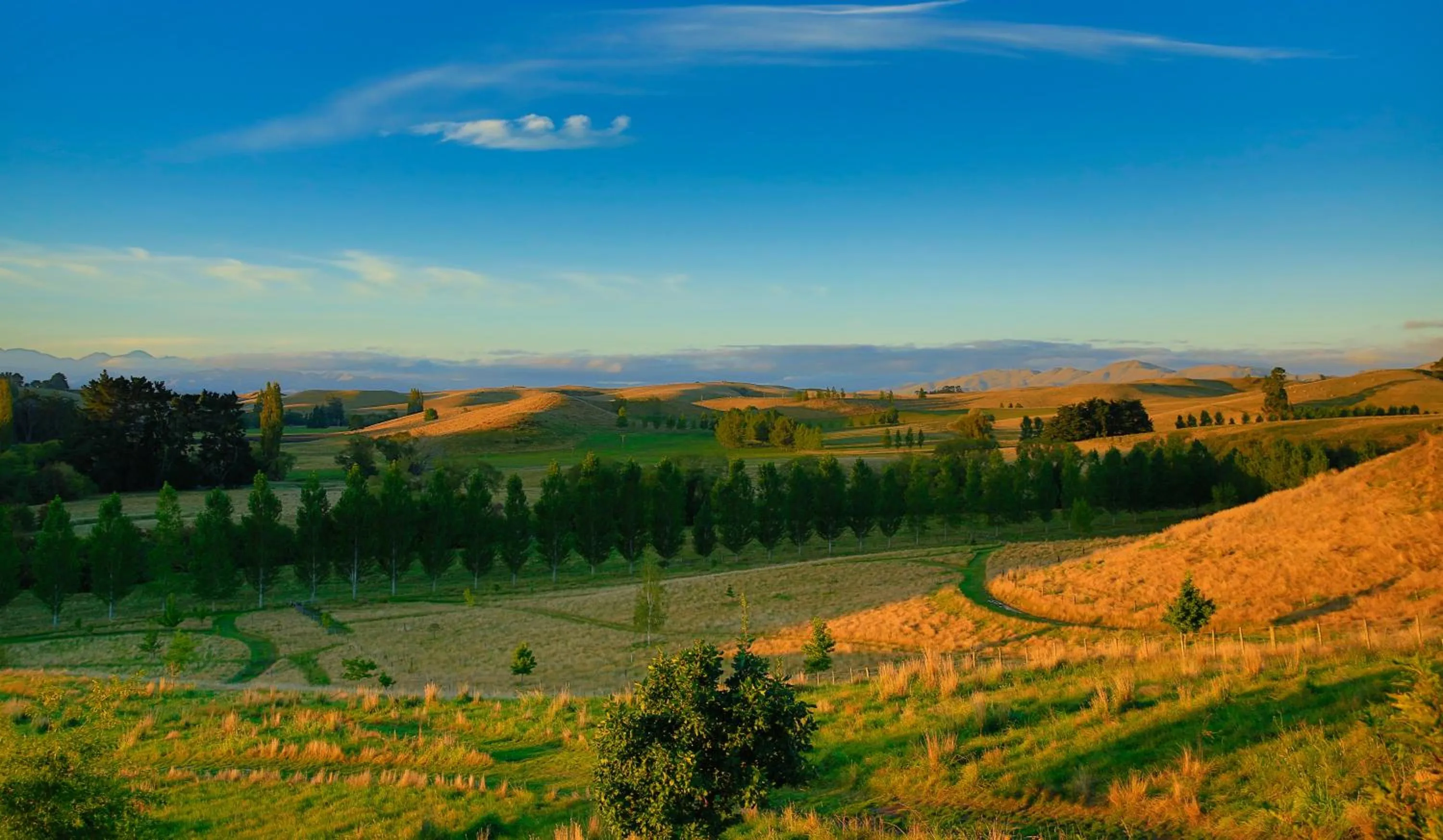 Mountain view in Tree House Lodge Bed & Breakfast