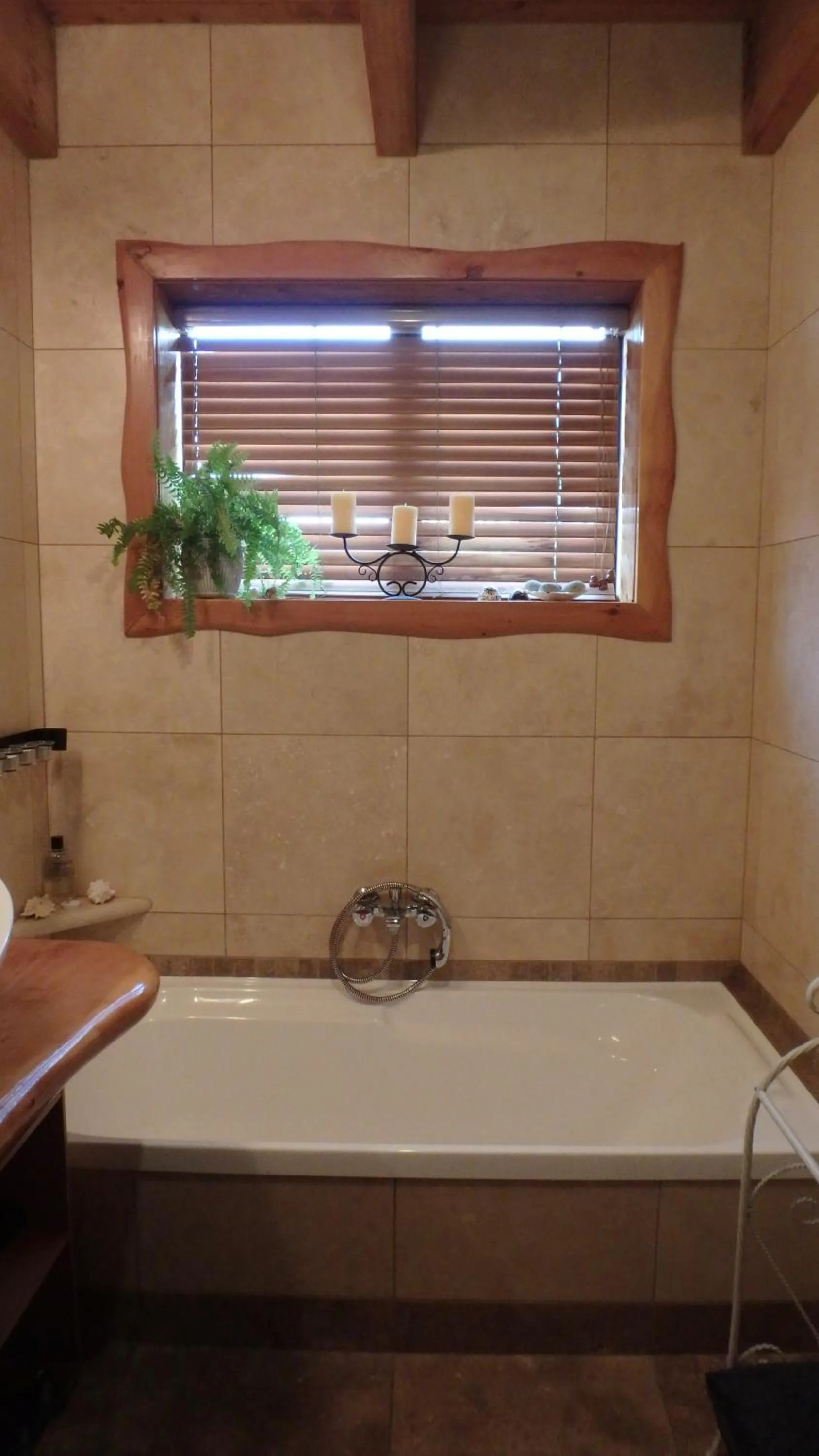 Shower in Tree House Lodge Bed & Breakfast