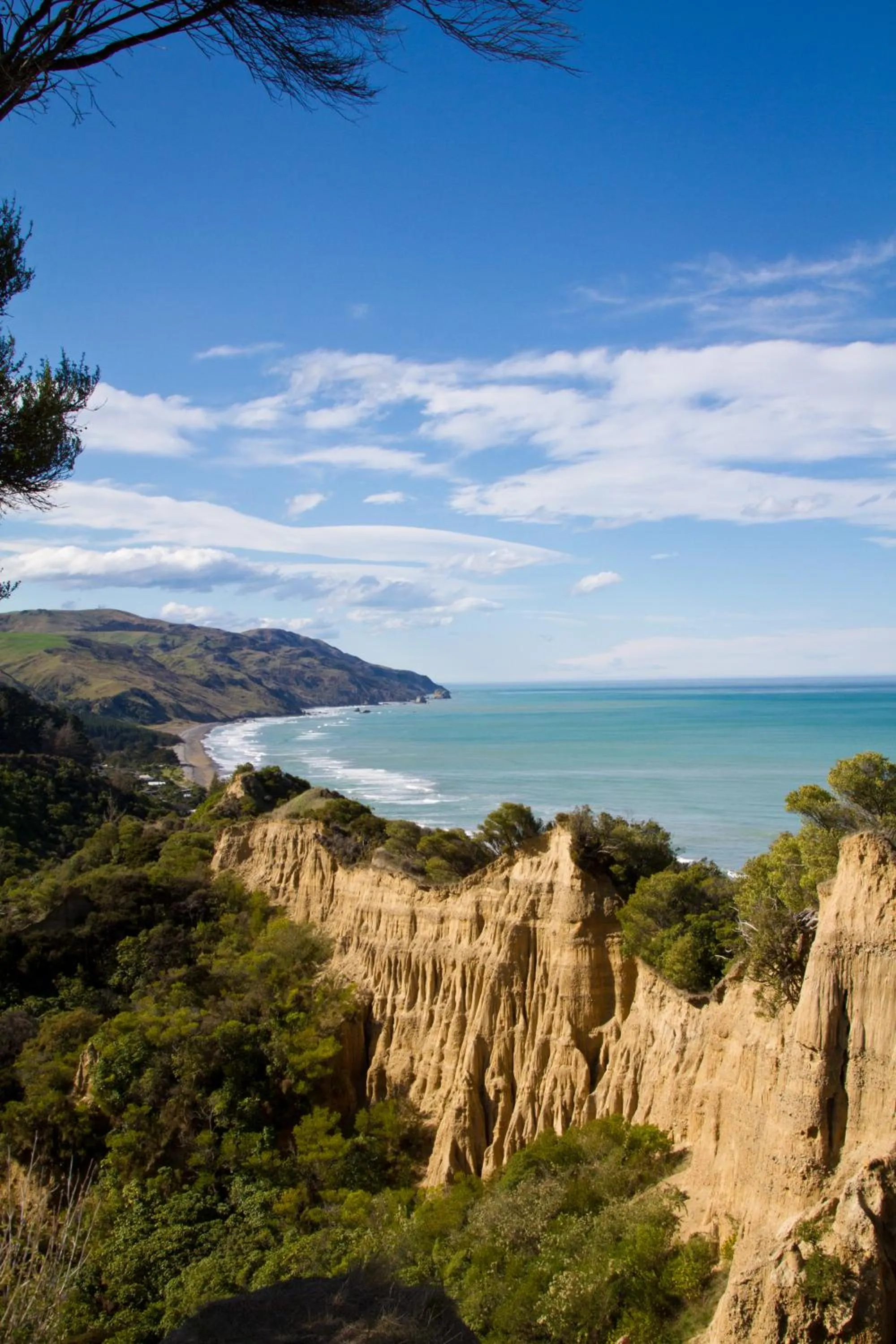 Nearby landmark in Tree House Lodge Bed & Breakfast