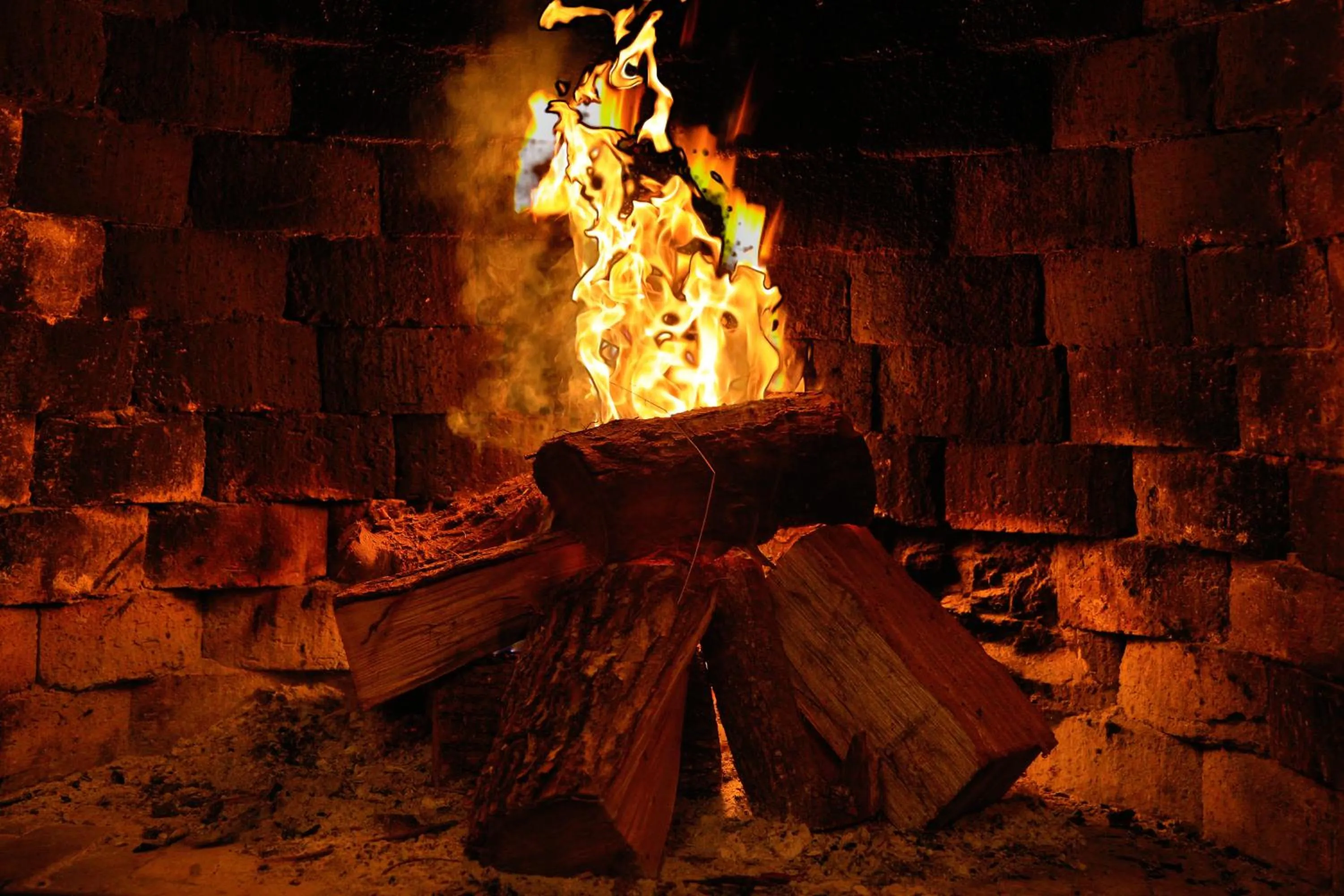 BBQ facilities in Tree House Lodge Bed & Breakfast