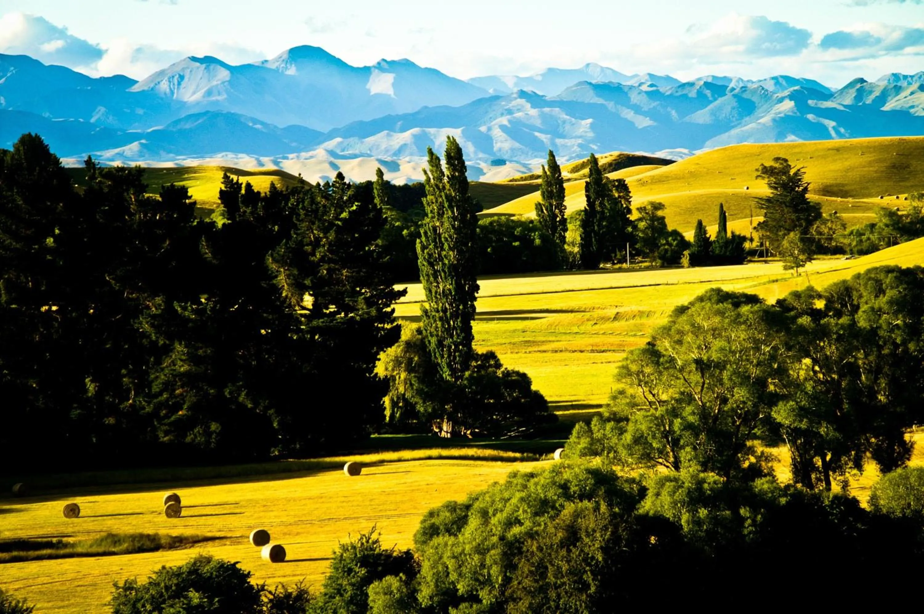 Mountain view in Tree House Lodge Bed & Breakfast