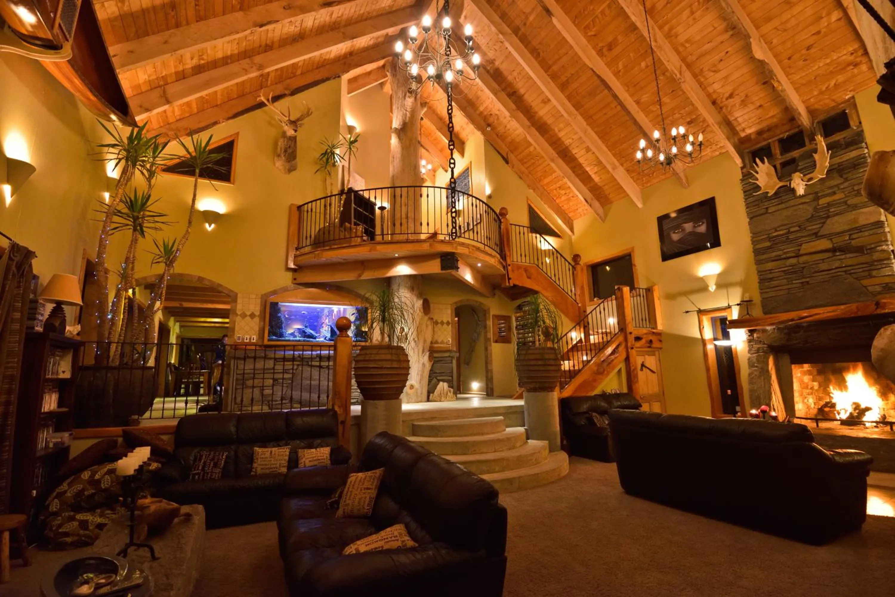 Lounge or bar in Tree House Lodge Bed & Breakfast