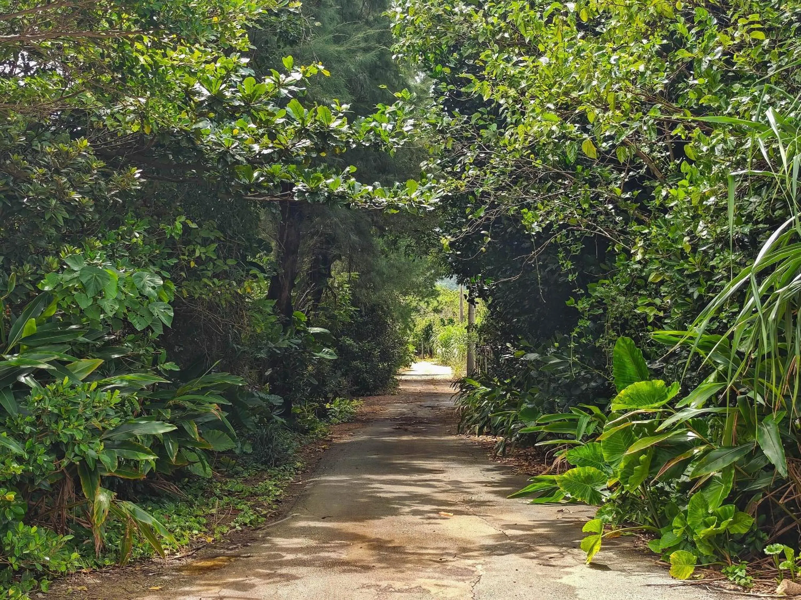 Off site in Nagahama Beach Resort Kanon