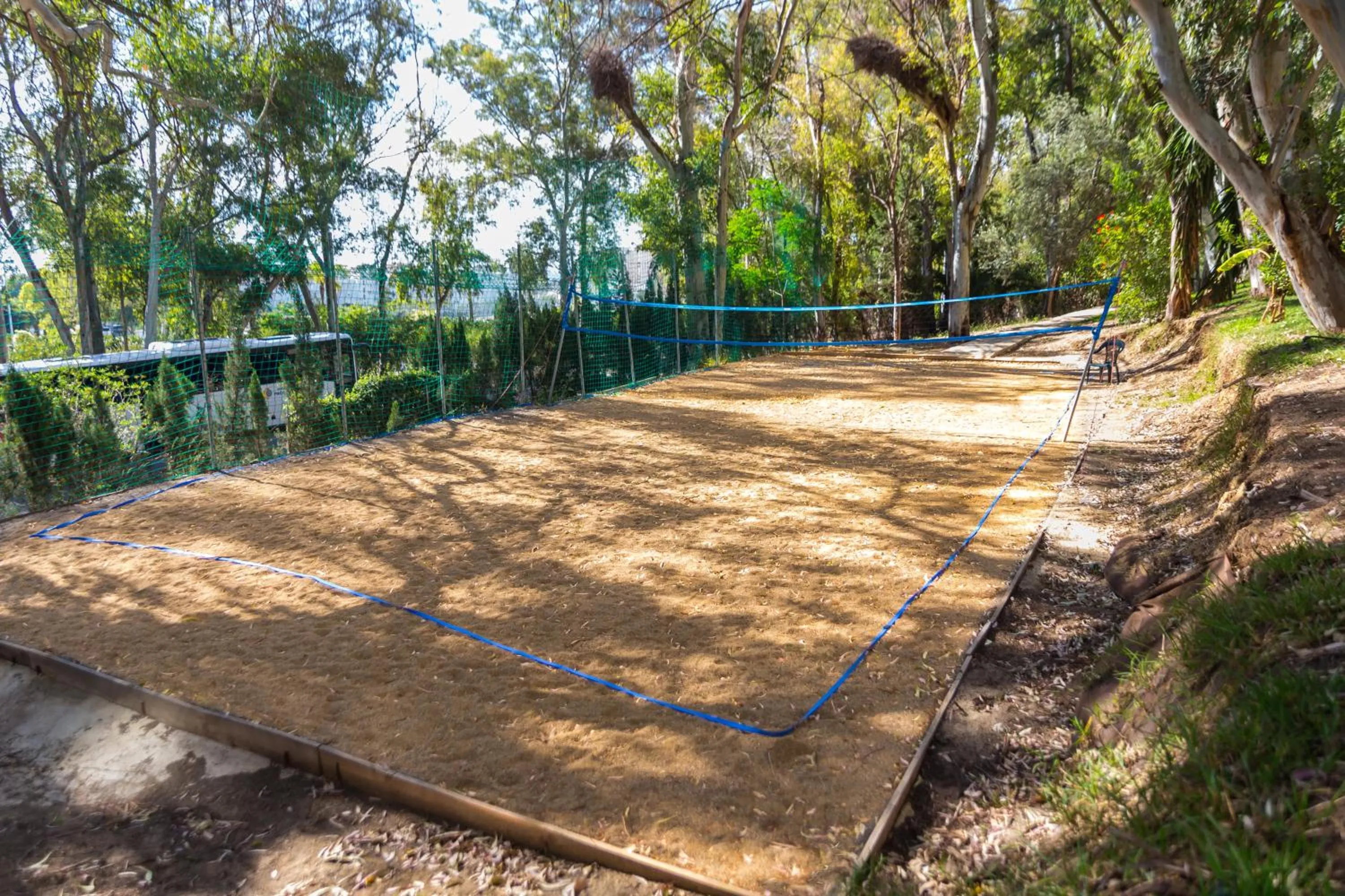 Sports in AluaSun Costa Park