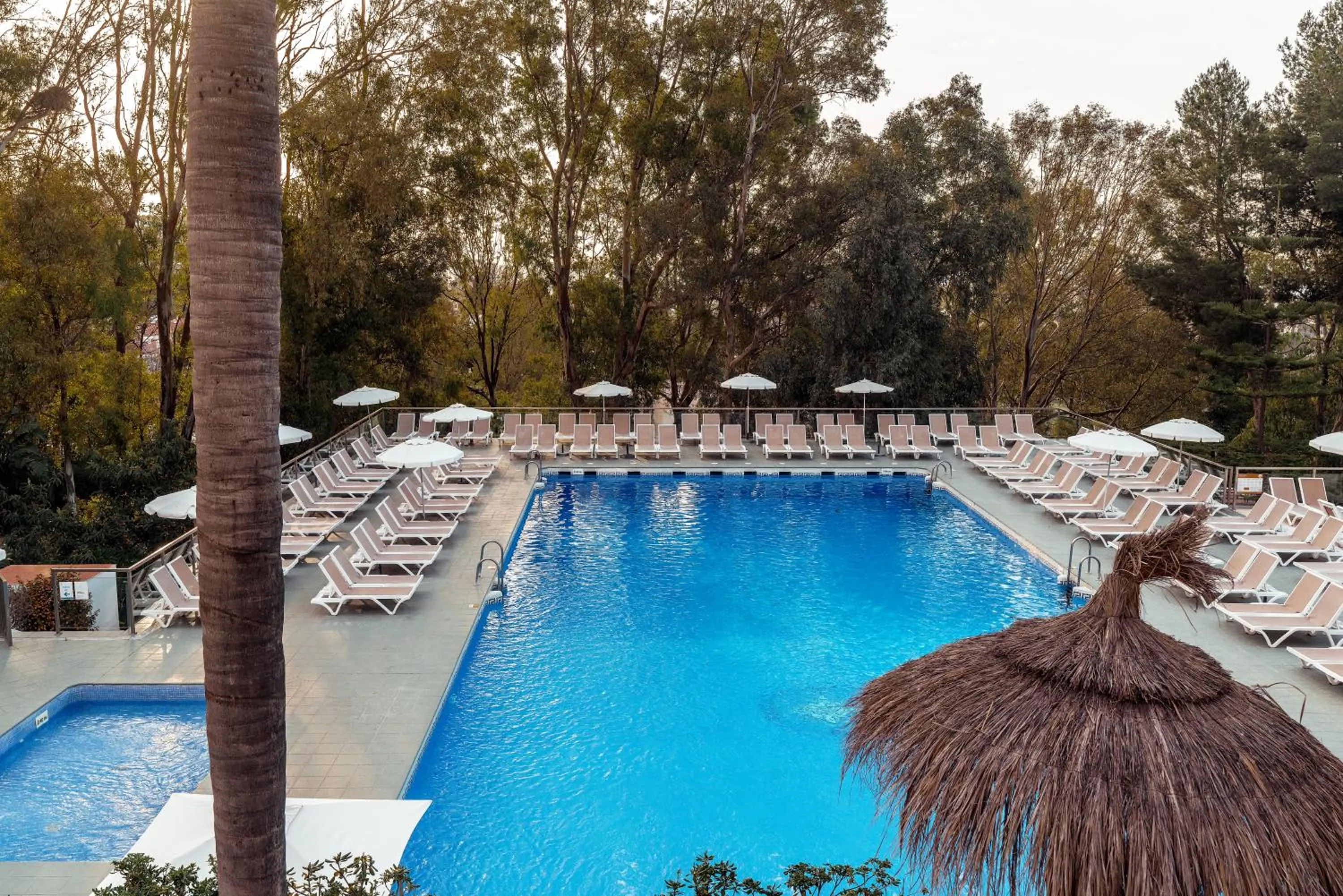 Swimming pool in AluaSun Costa Park