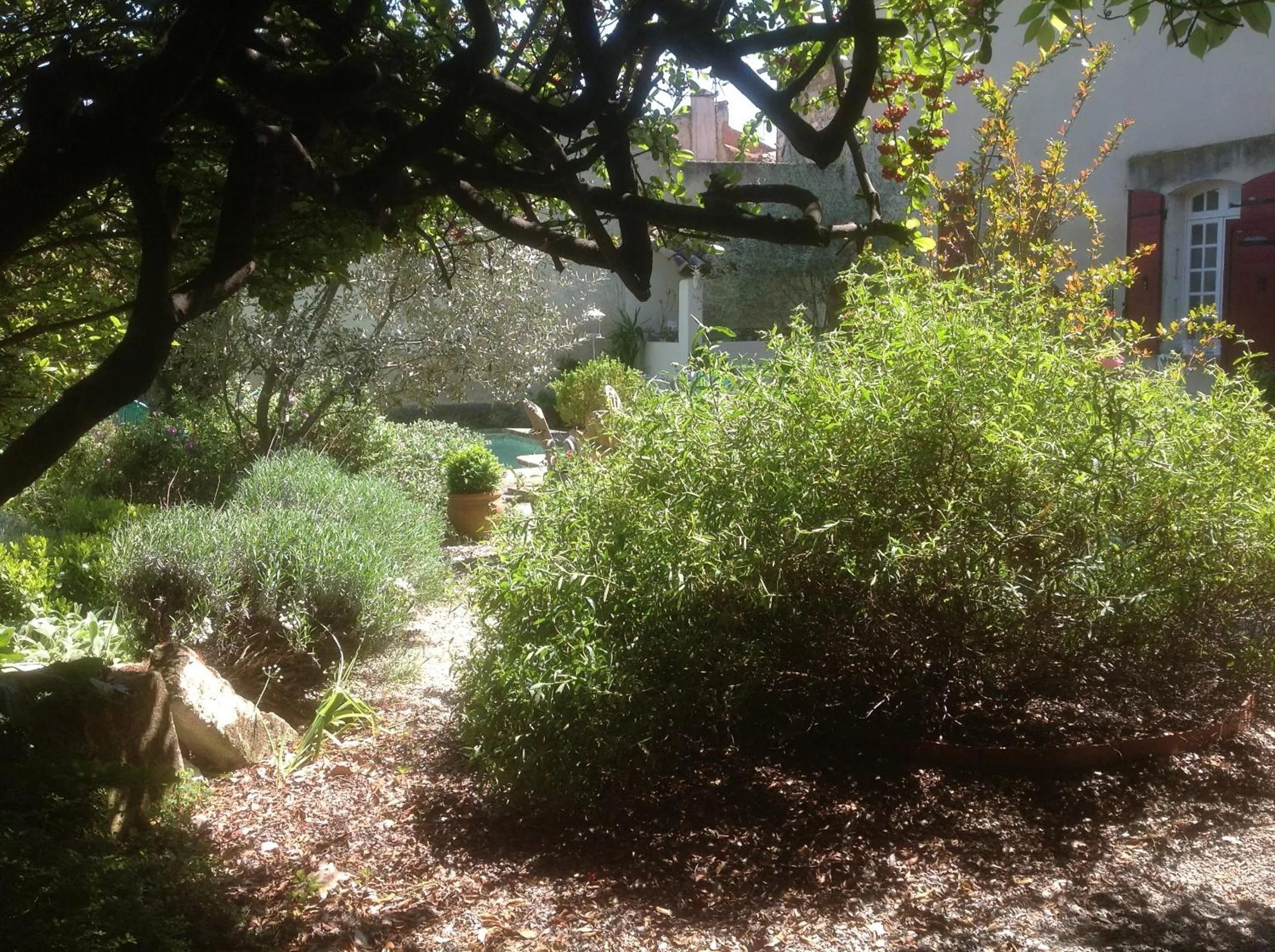 Garden in Le petit Figuier