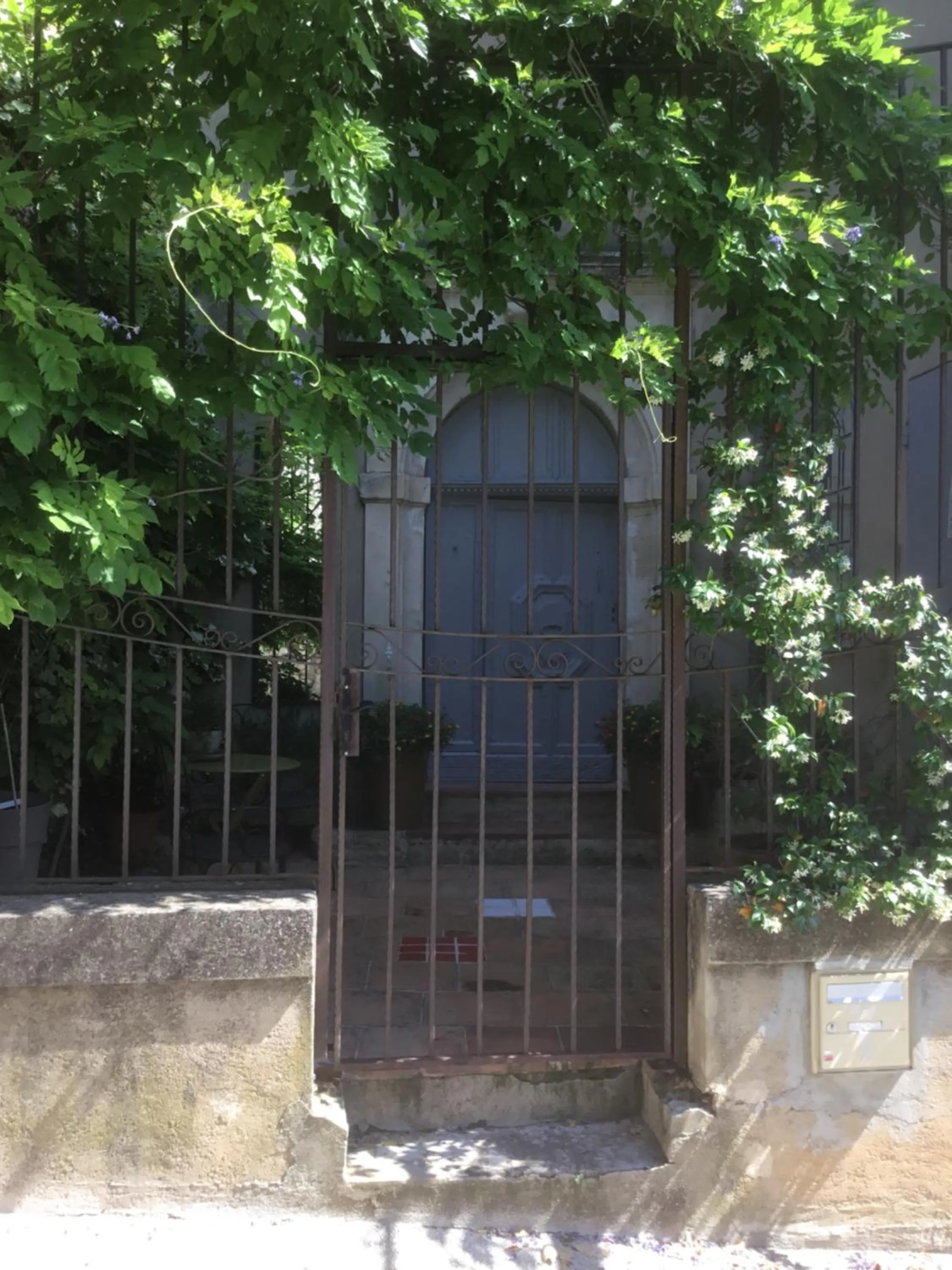 Other in Le petit Figuier