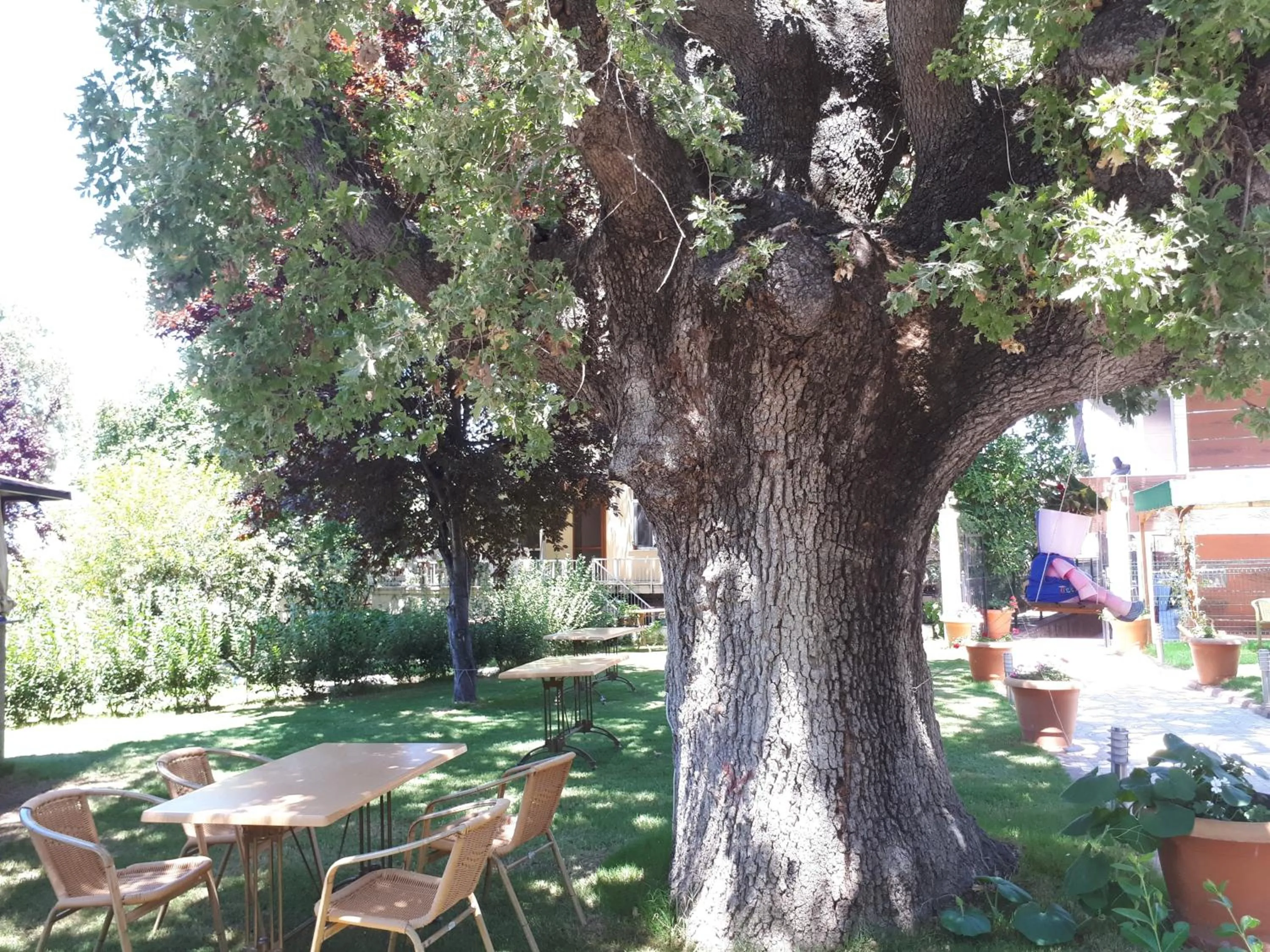 Spring in Ören Konak Otel