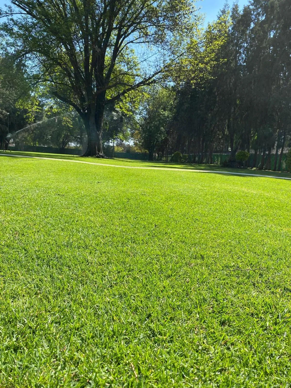 Villas Arqueologicas Cholula