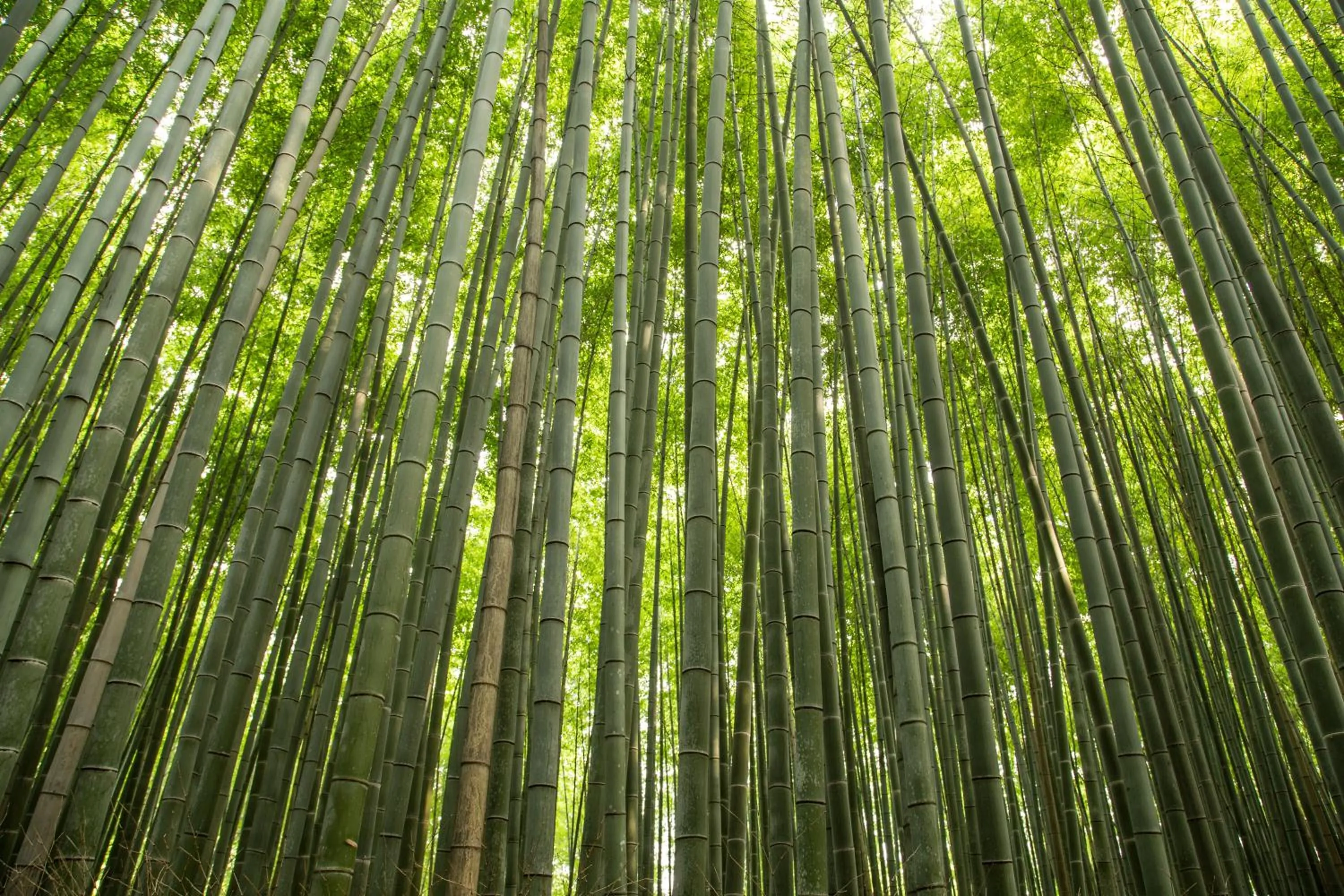 Property building in Mulan Hostel