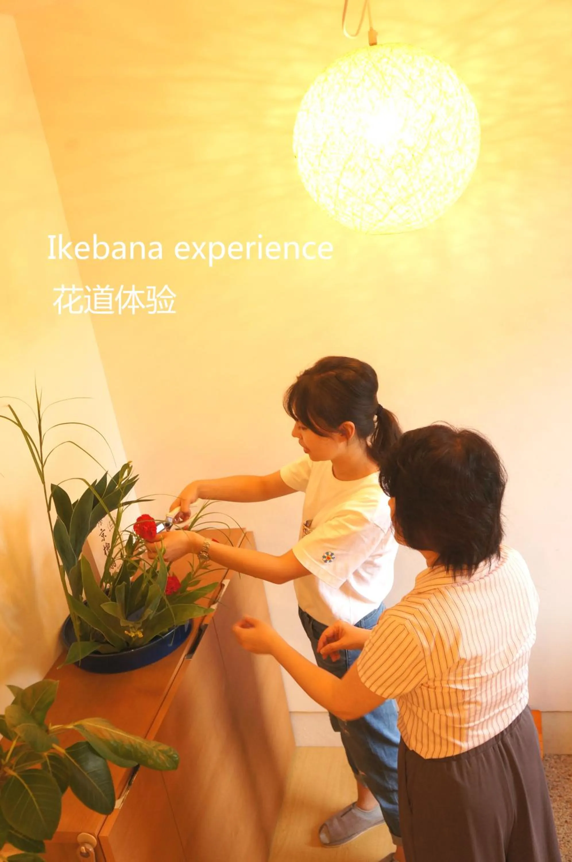 Lobby or reception in Mulan Hostel