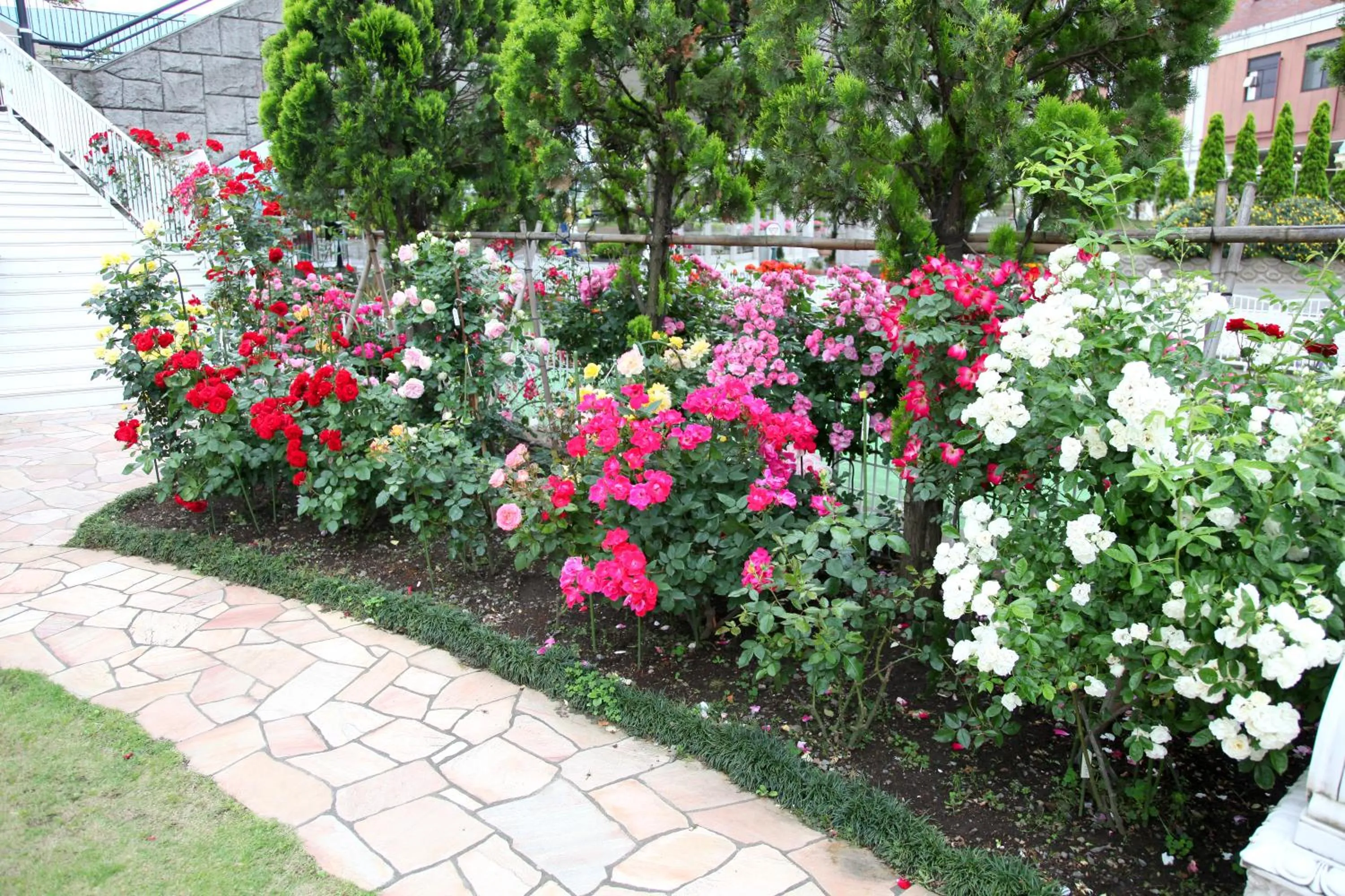 Other in Hotel Sunlife Garden