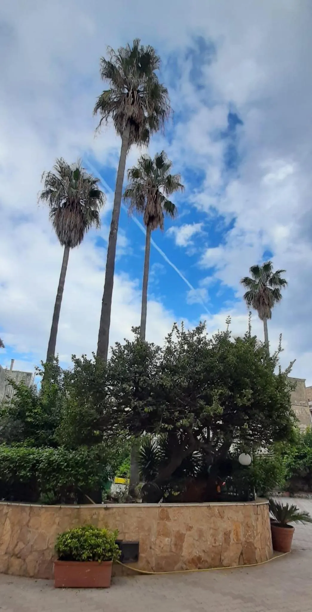 Garden view in Villa Pacis