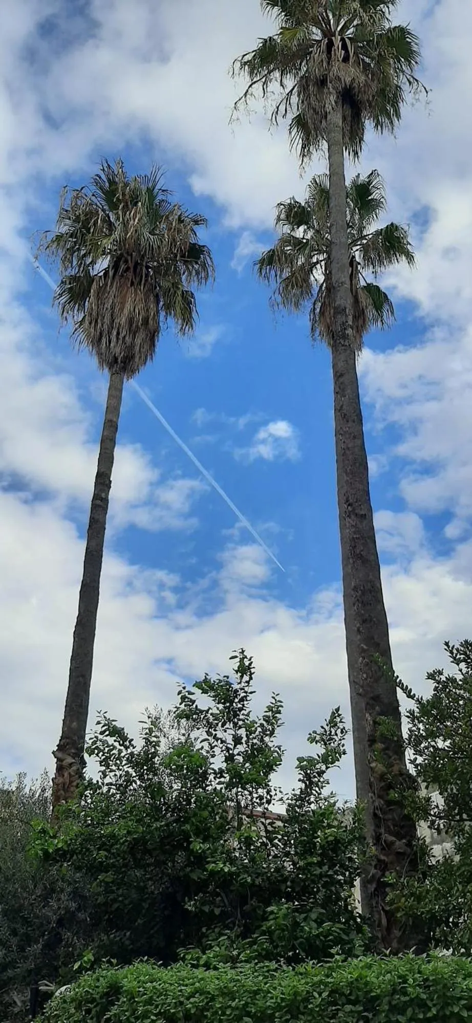 Property building in Villa Pacis