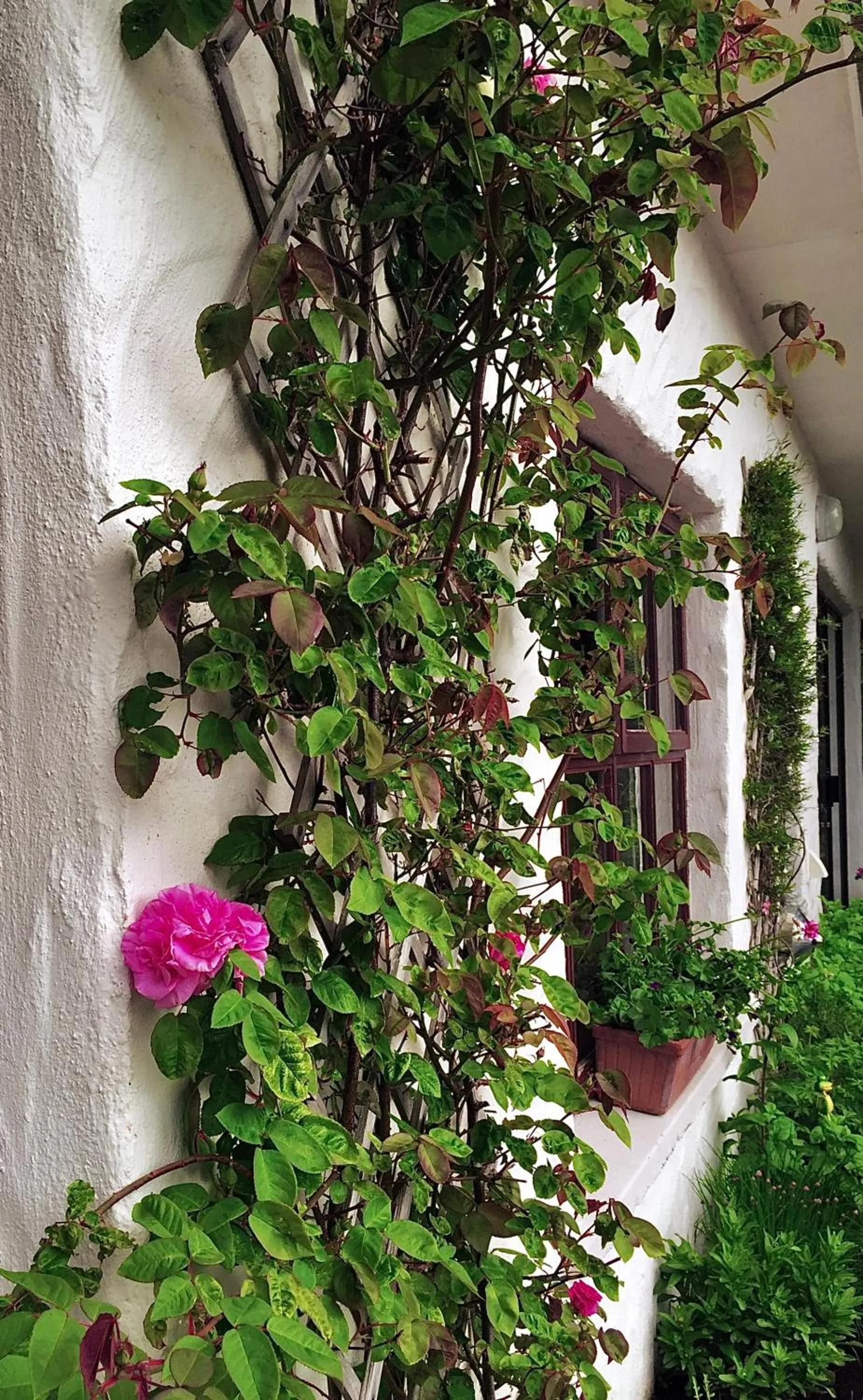 Property building in Ardagh Hotel & Restaurant