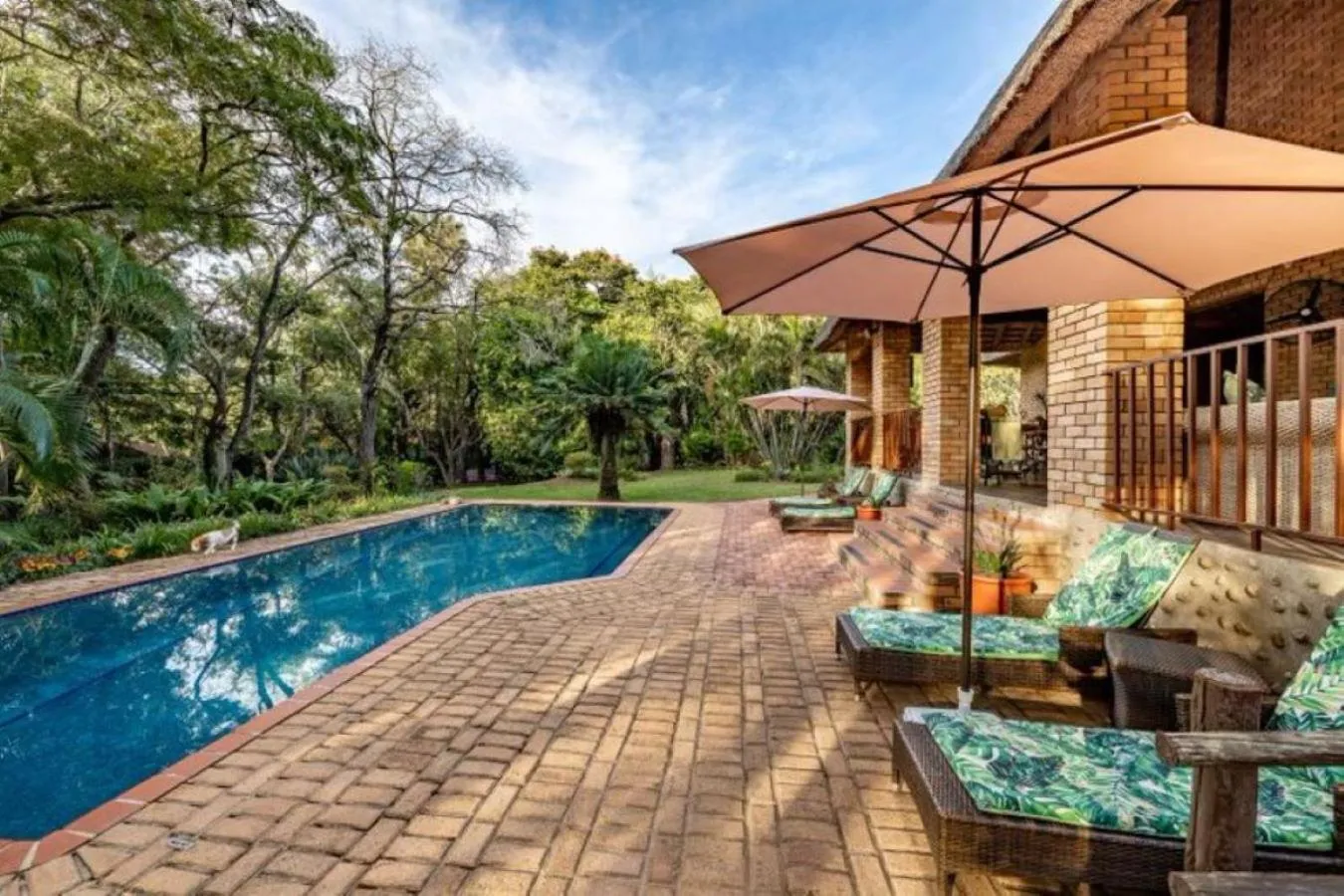 Swimming pool in Dreamfields Guesthouse