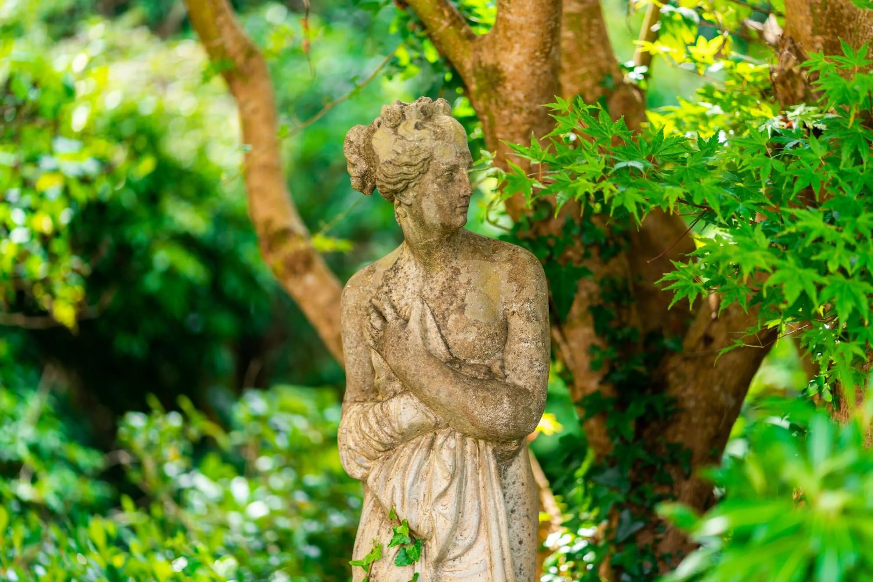 Garden in Seaview House Hotel