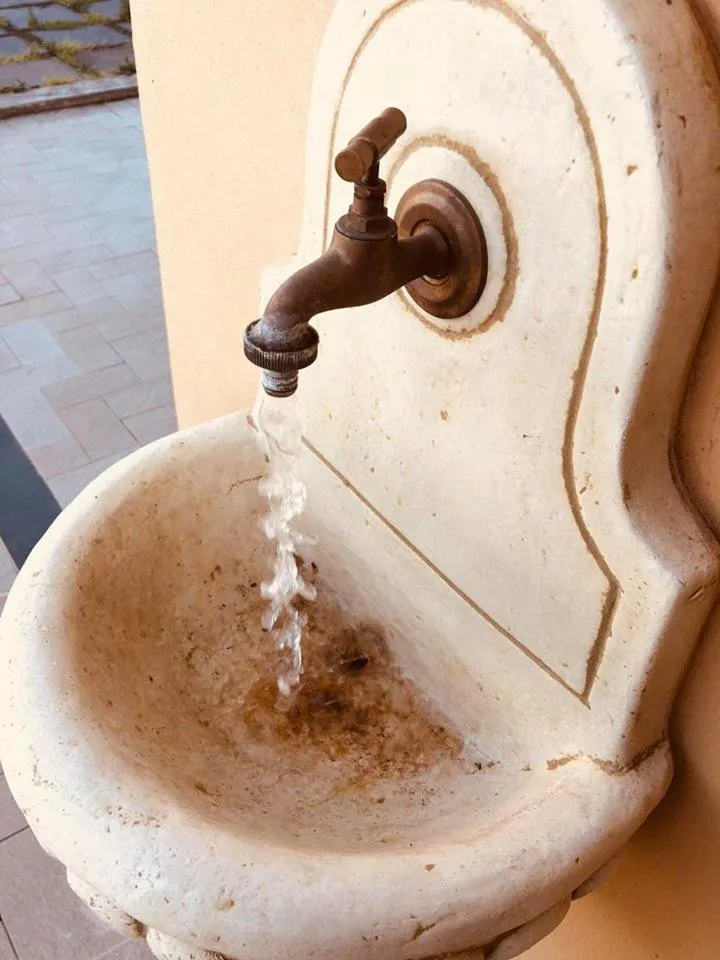 Garden in L'Agrifoglio Dell'Etna