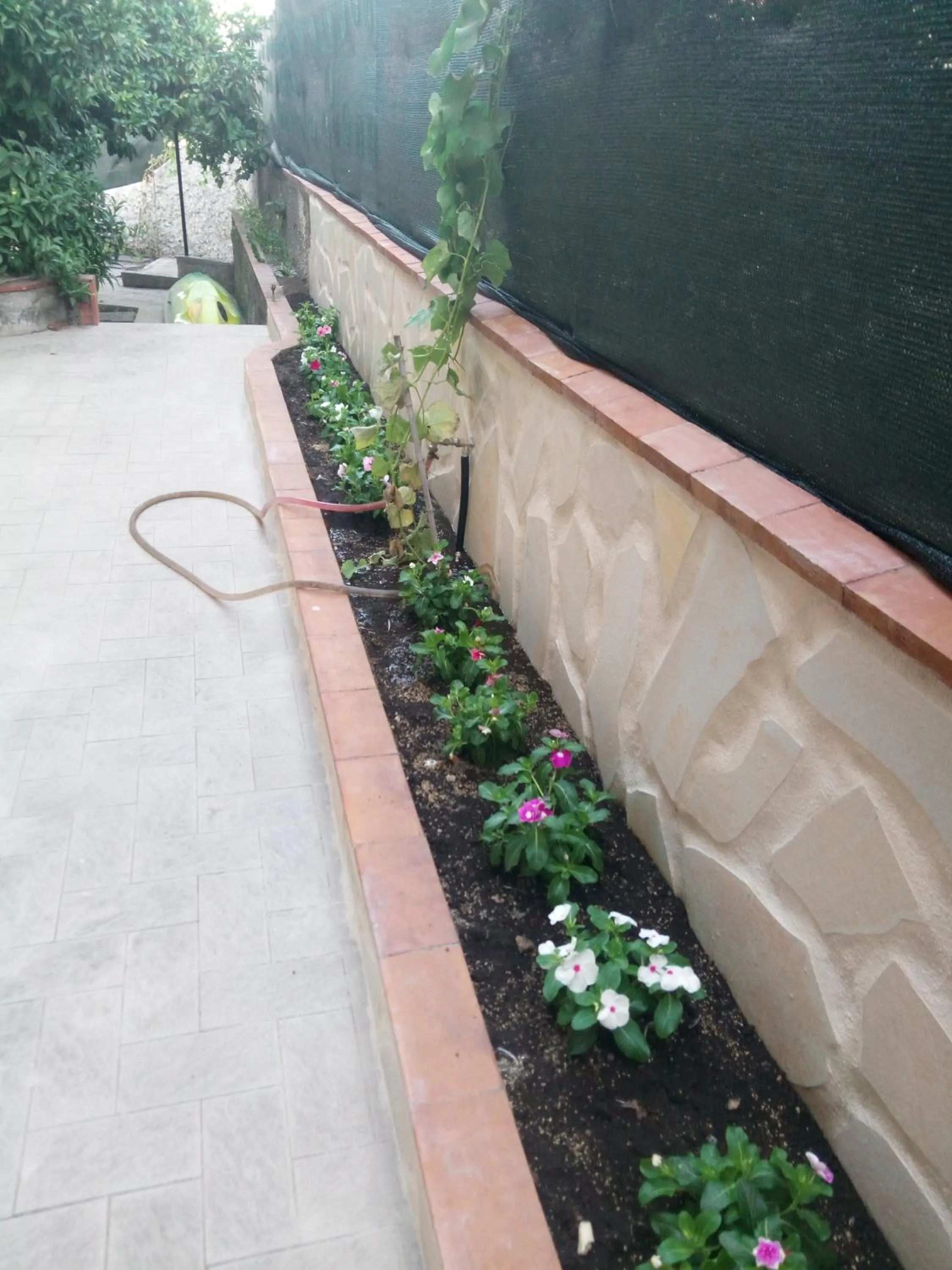 L'Agrifoglio Dell'Etna