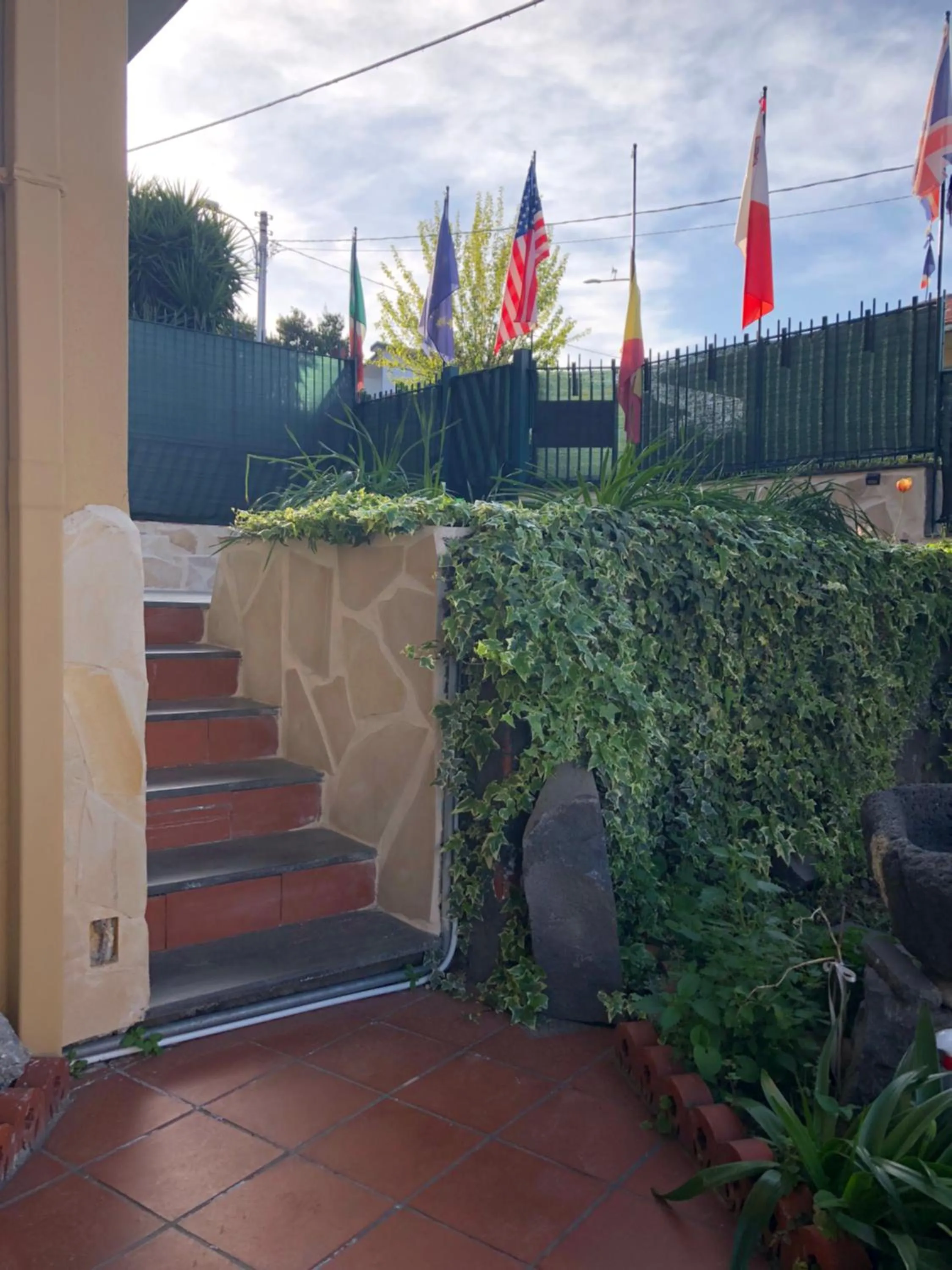 L'Agrifoglio Dell'Etna