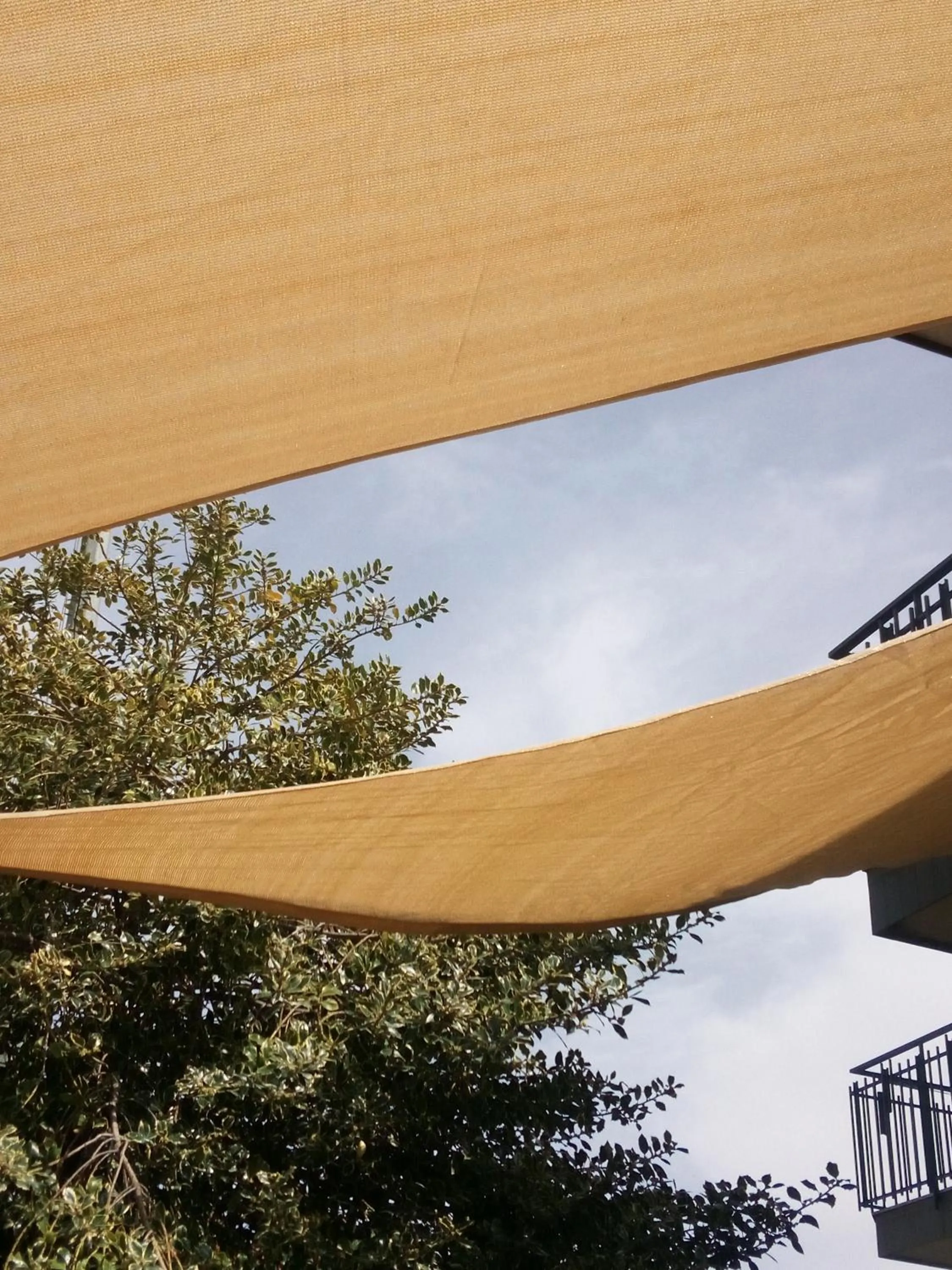 L'Agrifoglio Dell'Etna