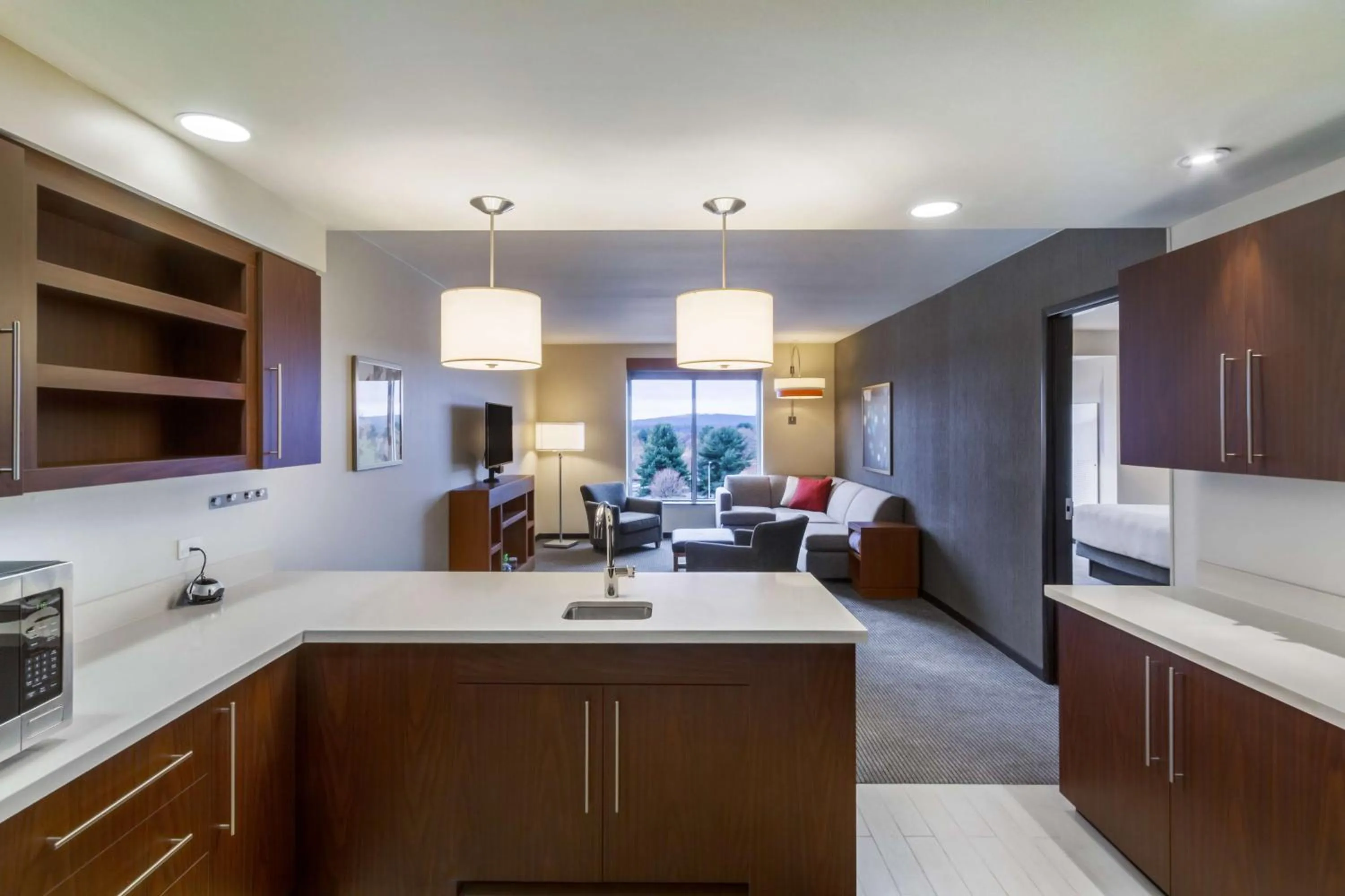 Photo of the whole room in Hyatt Place Blacksburg/University