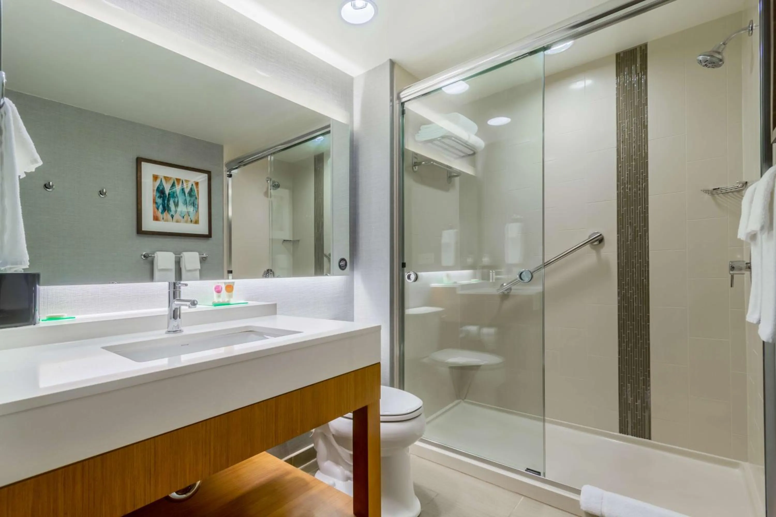 Bathroom in Hyatt Place Blacksburg/University