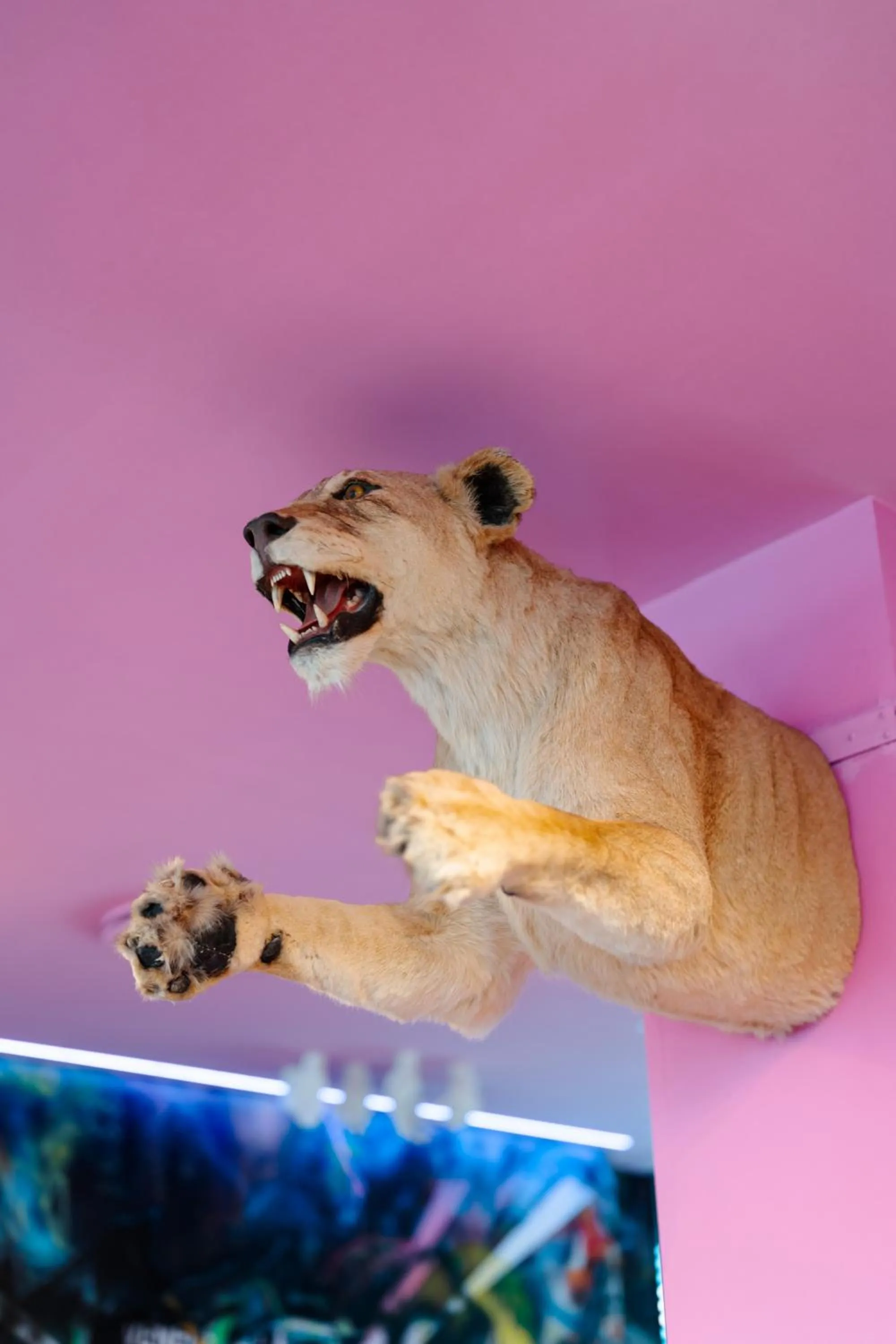 Lobby or reception in Collini Rooms, WorldHotels Crafted